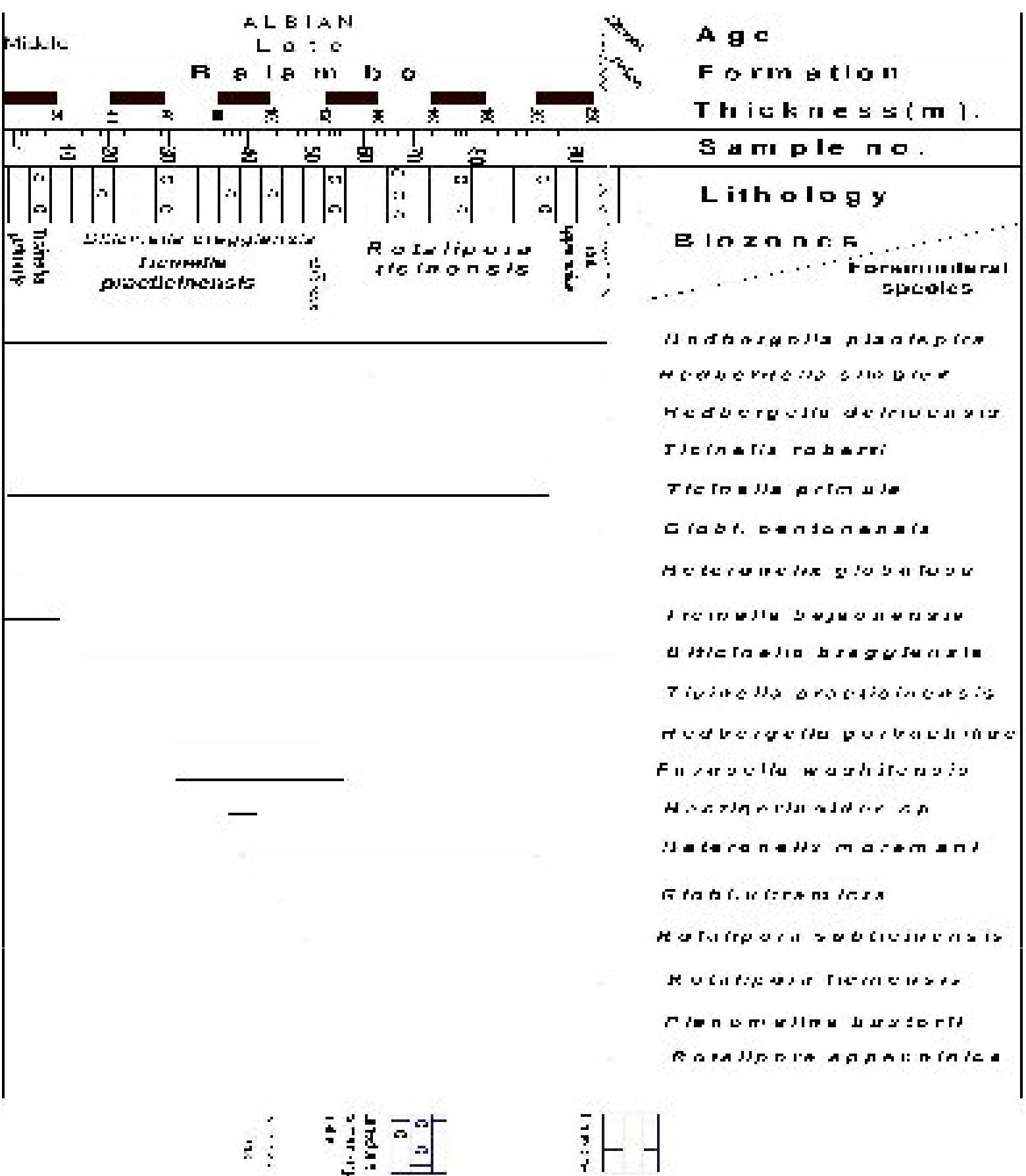 (PDF) Biostratigraphy of the Balambo Formation (Lower Cretaceous ) in ...