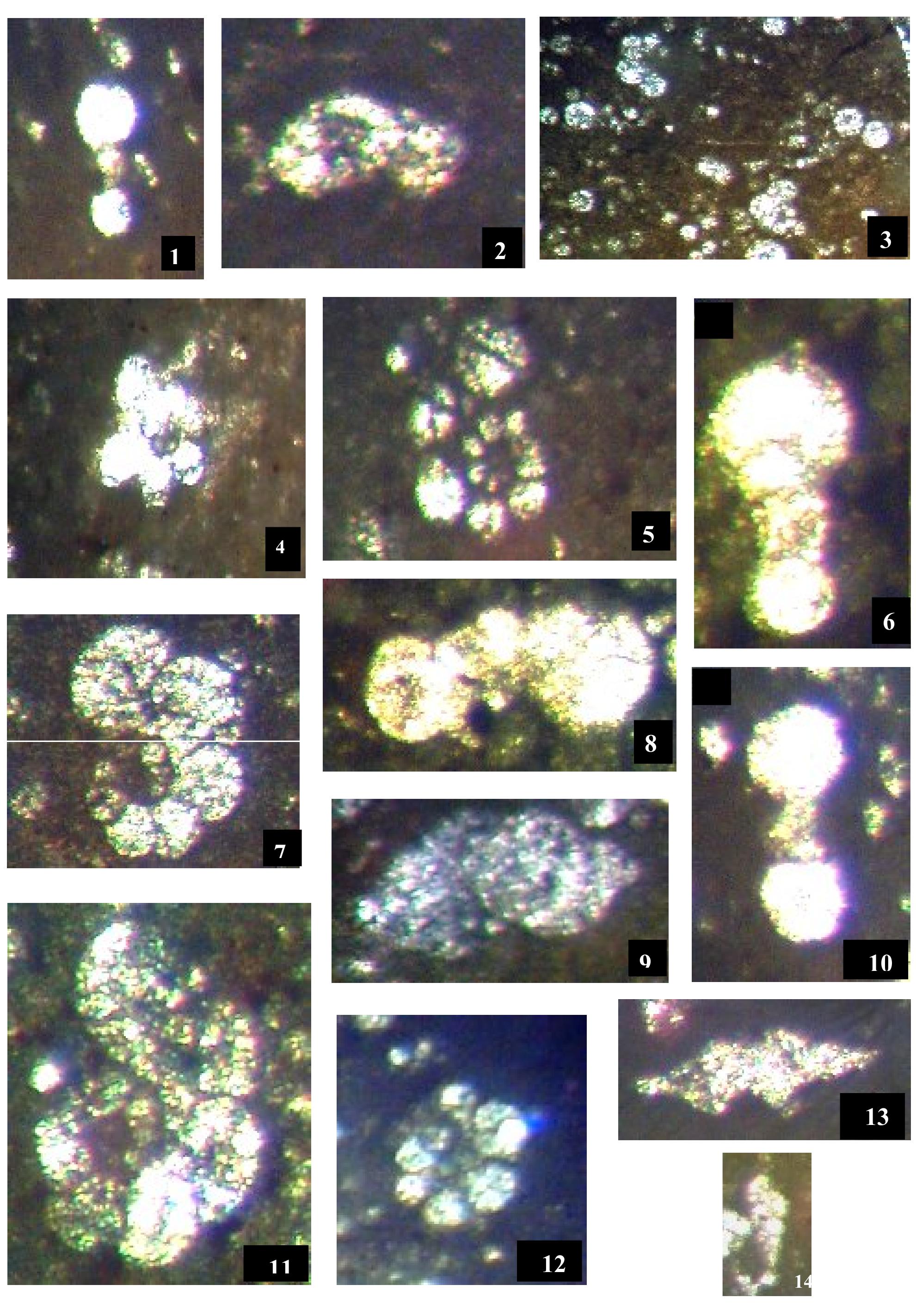 (PDF) Biostratigraphy of the Balambo Formation (Lower Cretaceous ) in ...