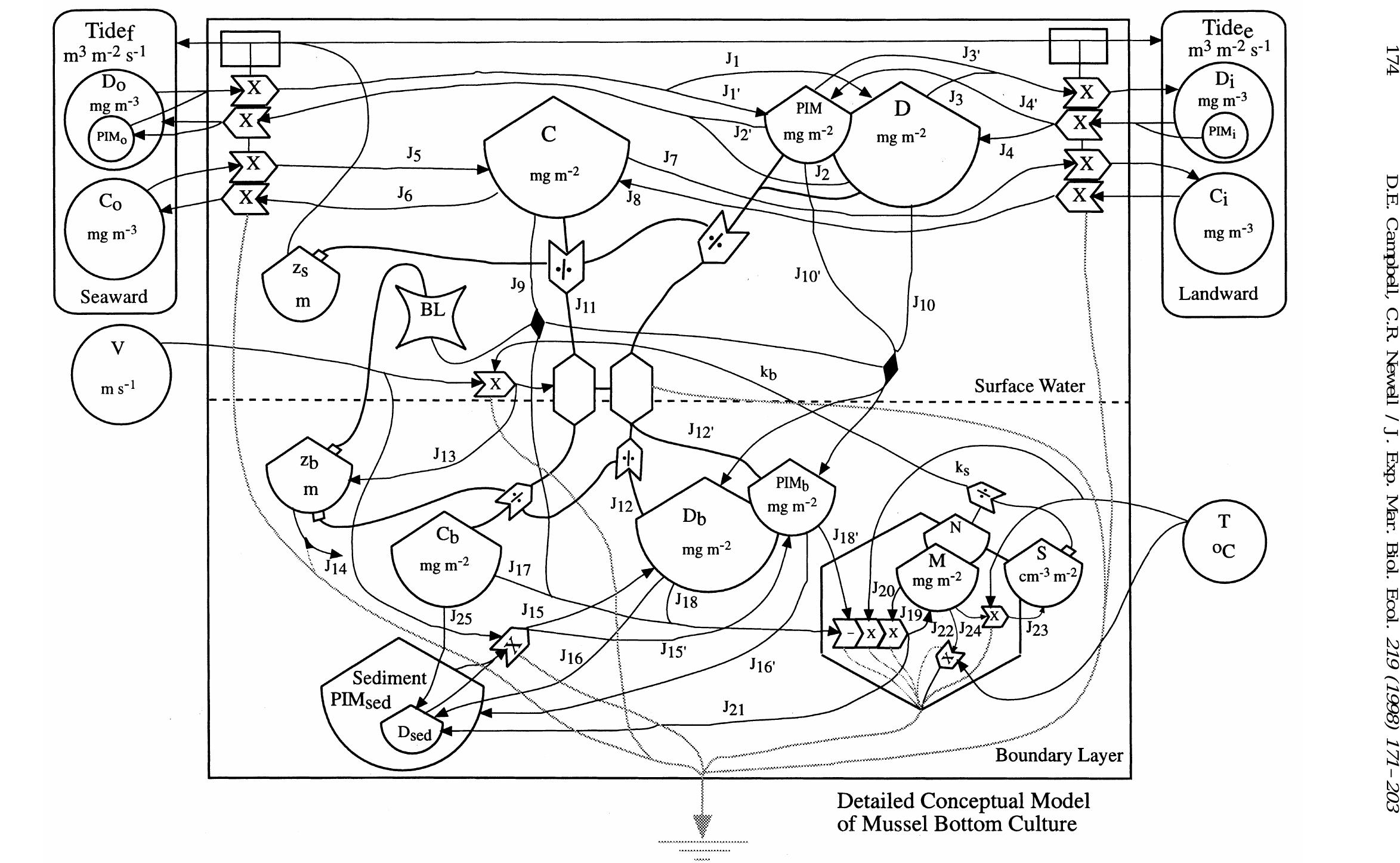 Mussels Diffusion Figure 3 - from MUSMOD©, a production model for bottom