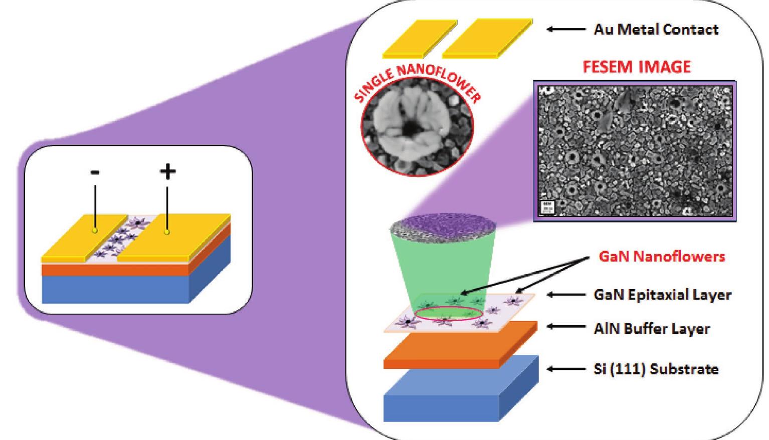 (PDF) A Highly Responsive Self-Driven UV Photodetector Using GaN ...