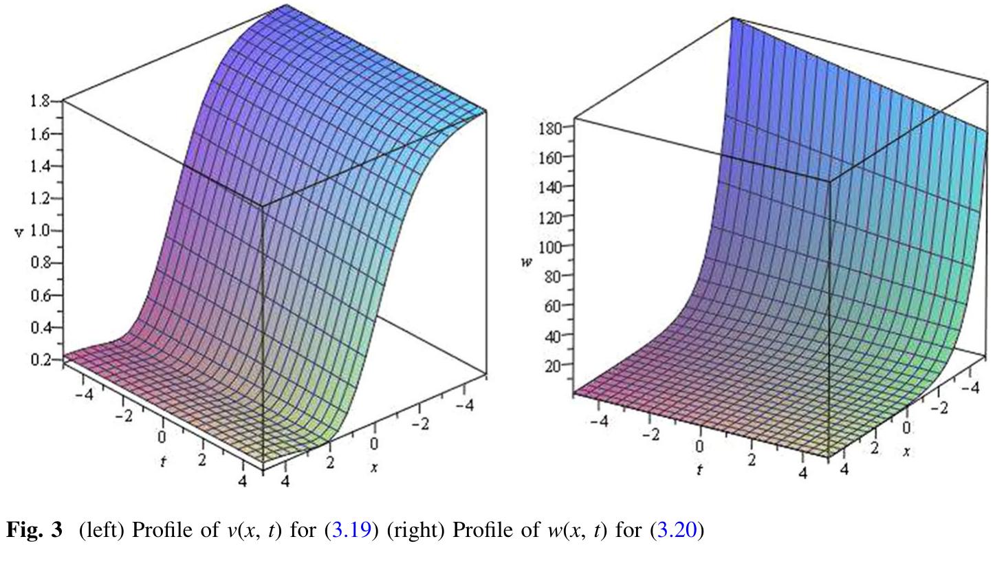 (PDF) Exact solutions for Fitzhugh–Nagumo model of nerve excitation via ...