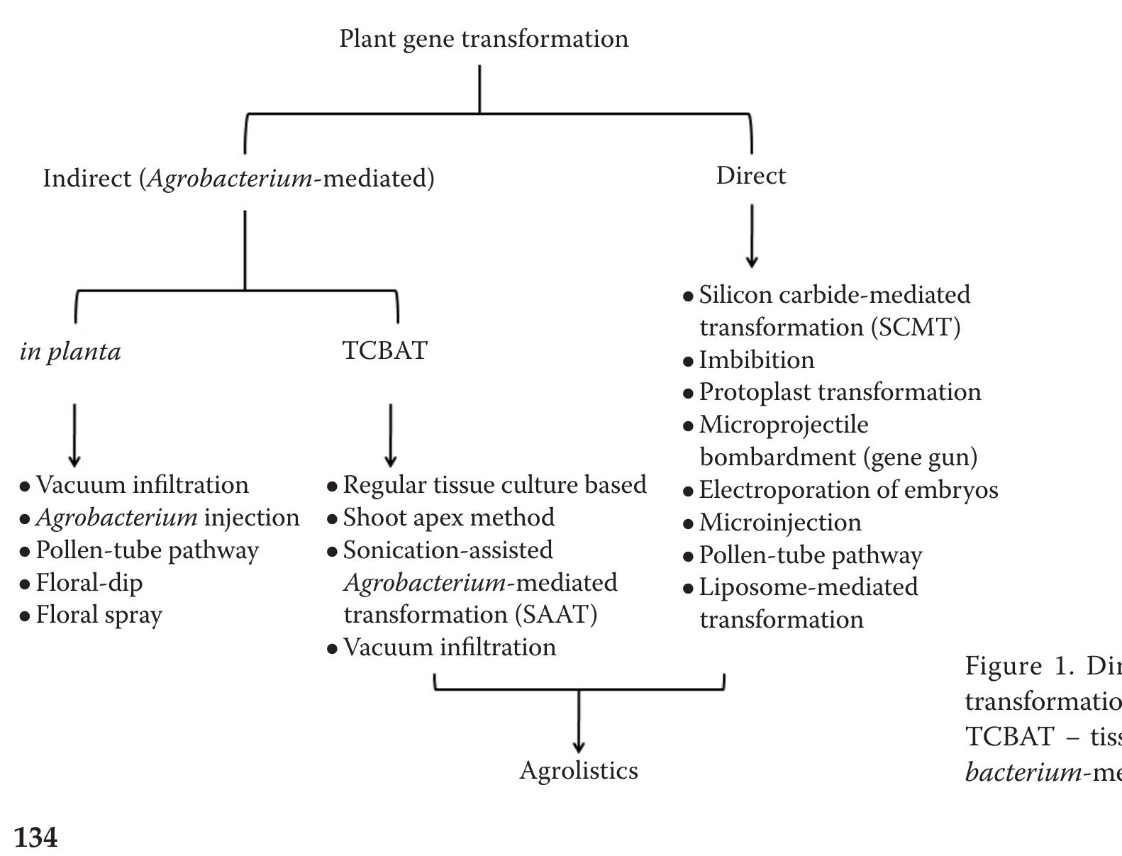 Transformation Lab (PDF) Tissue culture-based Agrobacterium-mediated and in planta ...