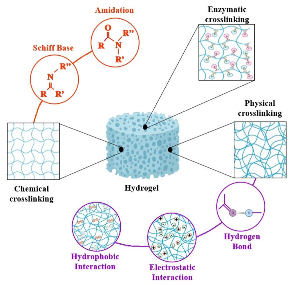 (PDF) Crosslinking Methods in Polysaccharide-Based Hydrogels for Drug ...