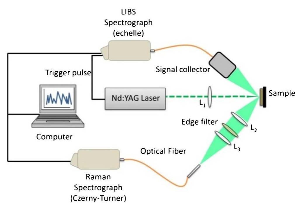 (PDF) A hybrid LIBS–Raman system combined with chemometrics: an ...