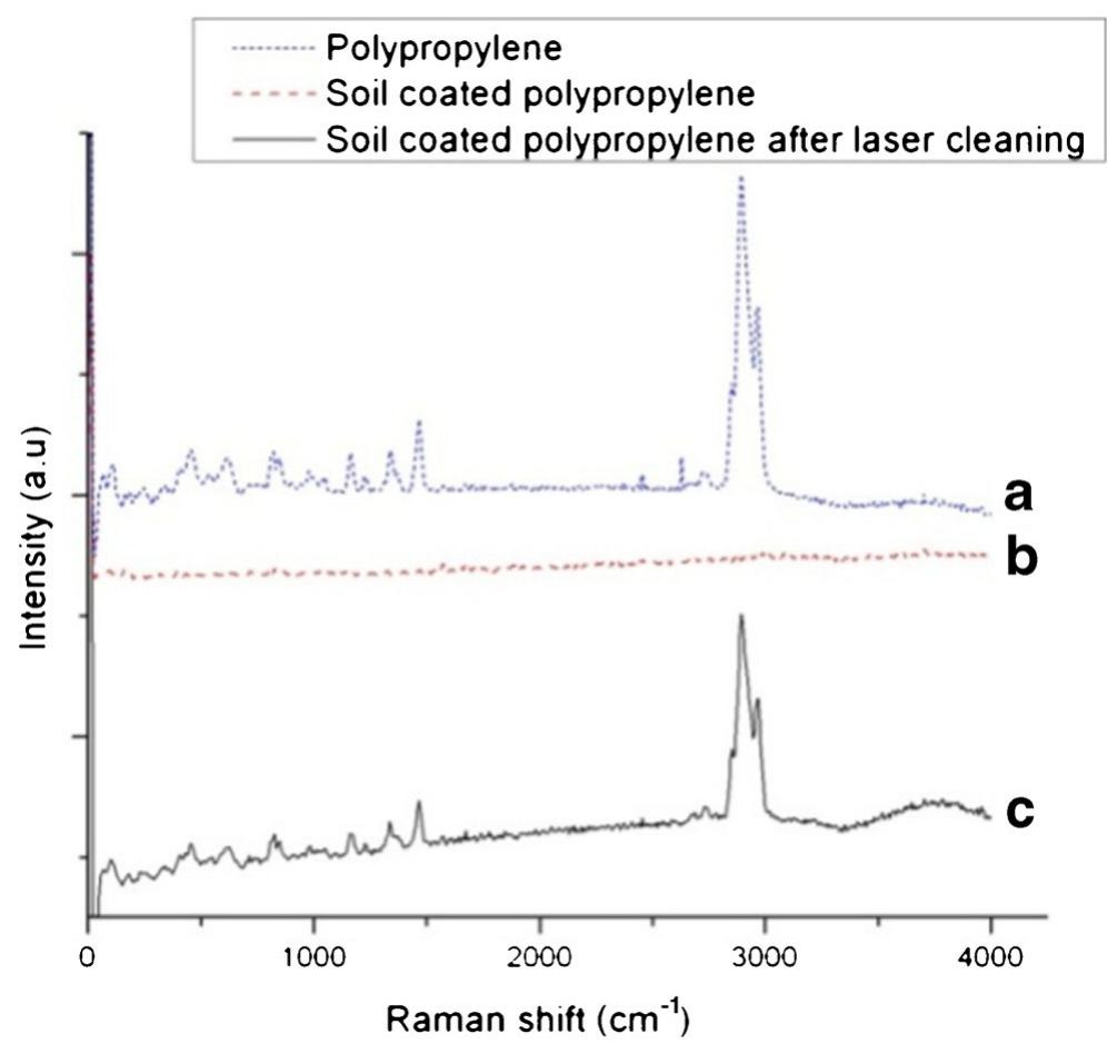 (PDF) A hybrid LIBS–Raman system combined with chemometrics: an ...