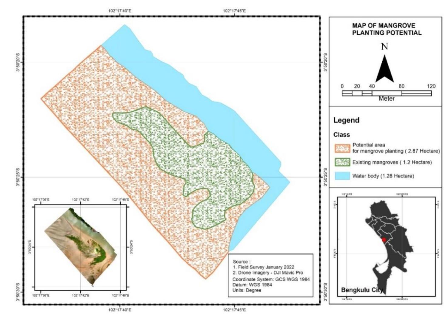 (PDF) Mapping The Potential of Mangrove Planting in The Rehabilitation ...