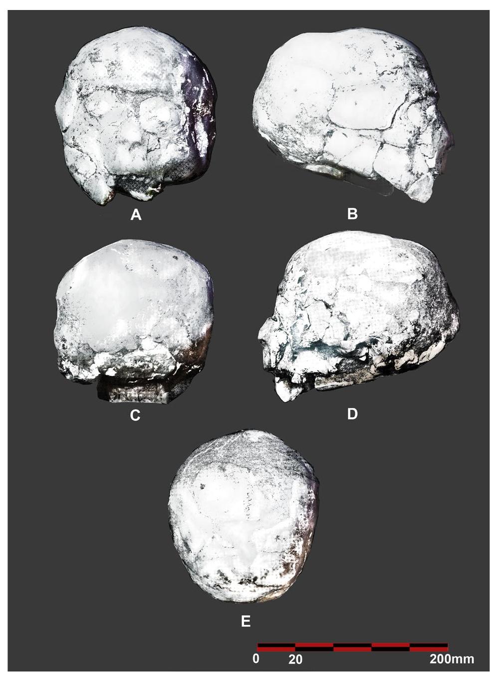 (PDF) MODERN VISUALIZATION BY DIGITALLY MODELING NEOLITHIC CRAFTED ...