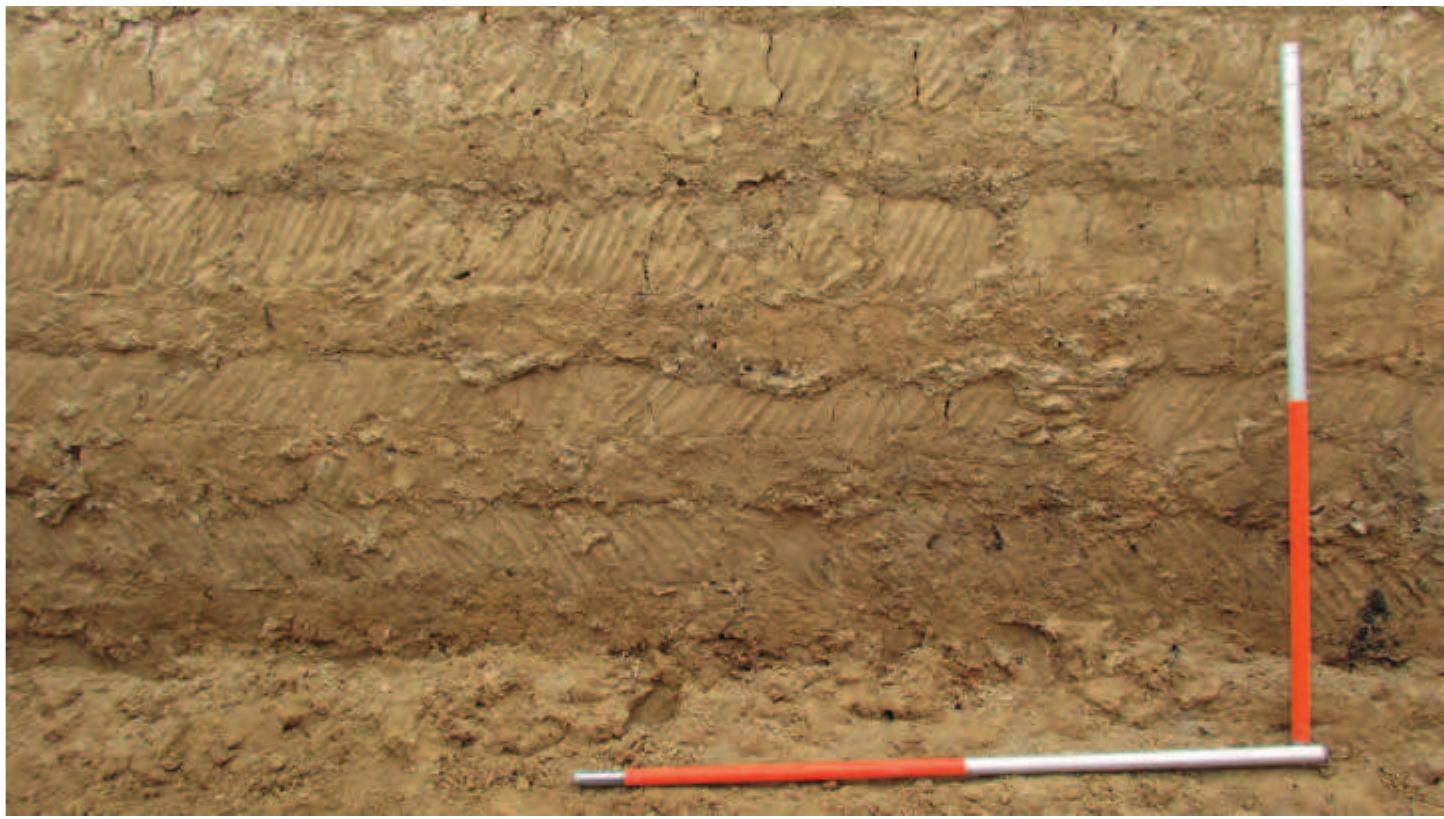 Fig. 17. Detail of the east wall of Room 2, showing alternate rows of diagonally impressed finger marks. 
