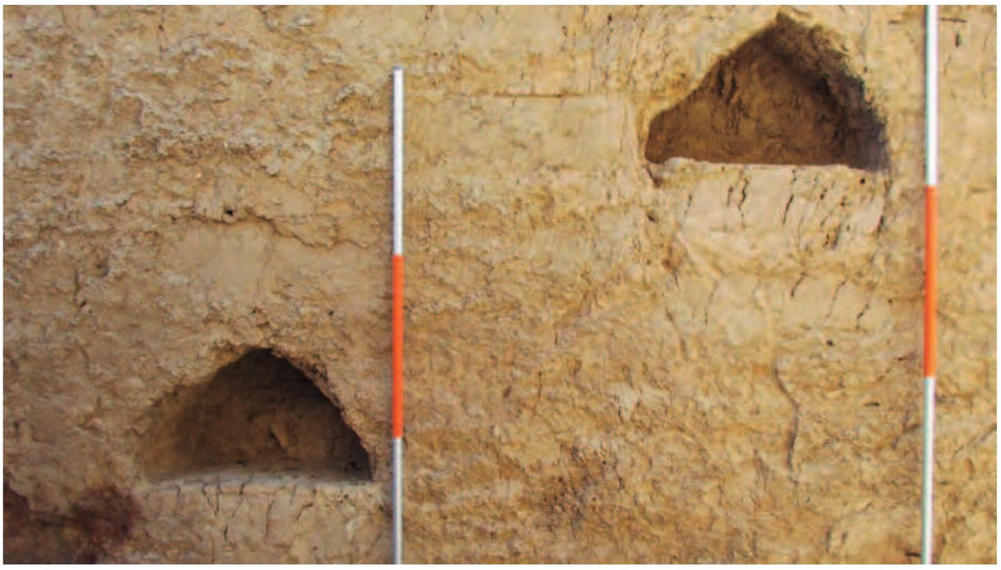 Fig. 22. Niches on the east wall of Room 1.  Fig. 21. The door from Room | to Room 2. 