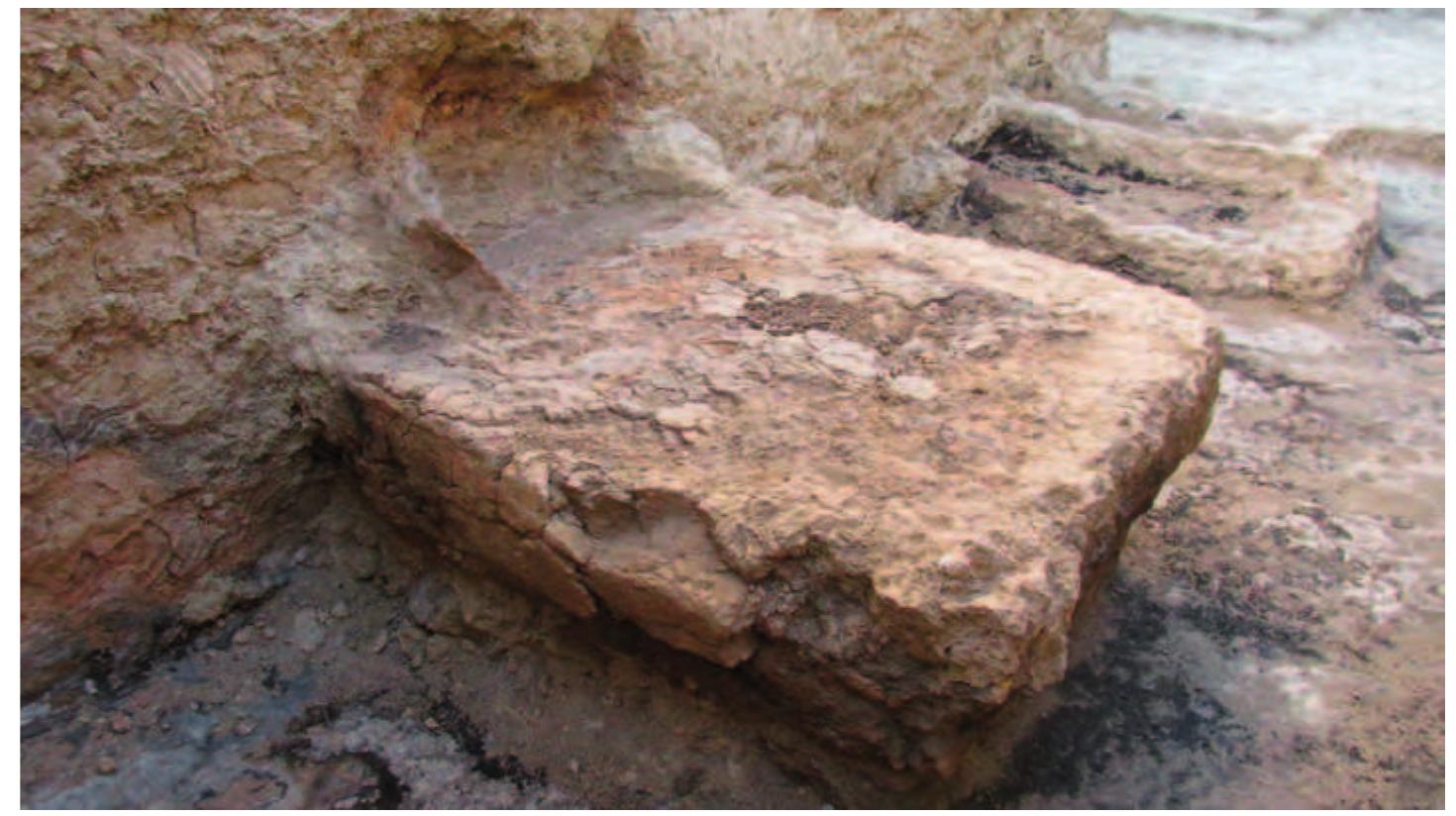 Fig. 28. The altar from the north-west. 