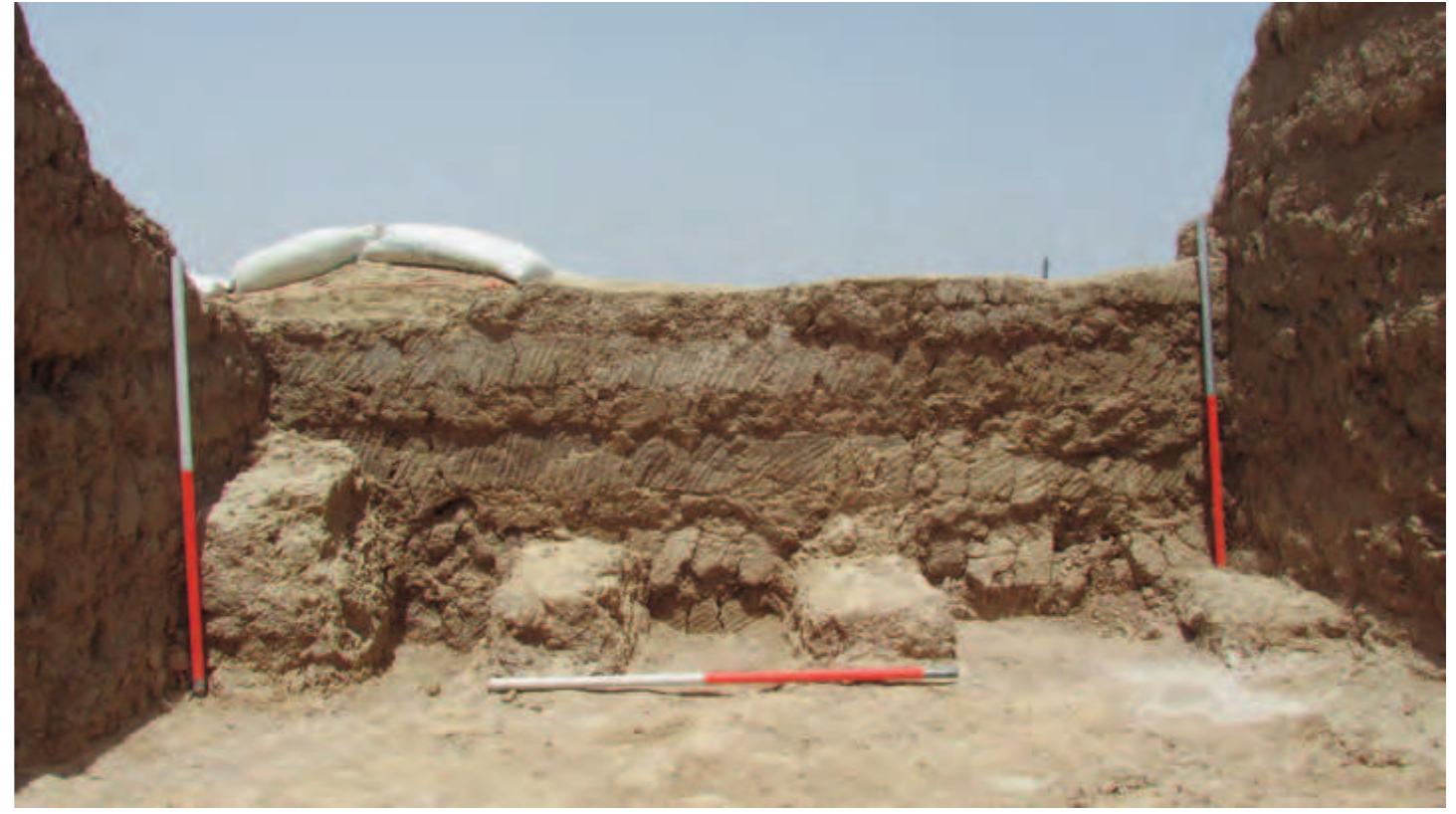 Fig. 44. Mud-brick structure against the north wall of Room 2. 