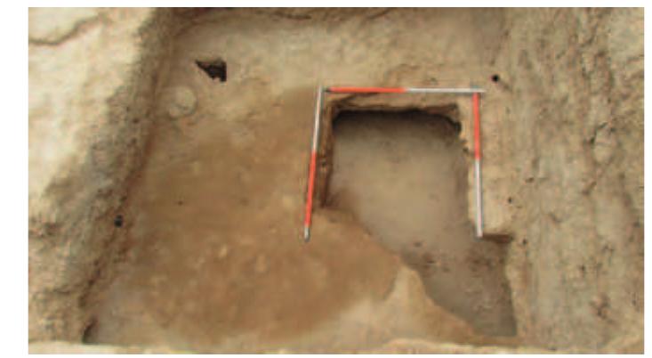 Fig. 52. The upper floor in Room 4. Note the empty space beneath the floor. 