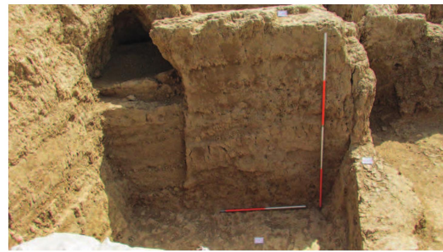 Fig. 56. East wall of Room 5, showing the passageway with a pointed arch. 