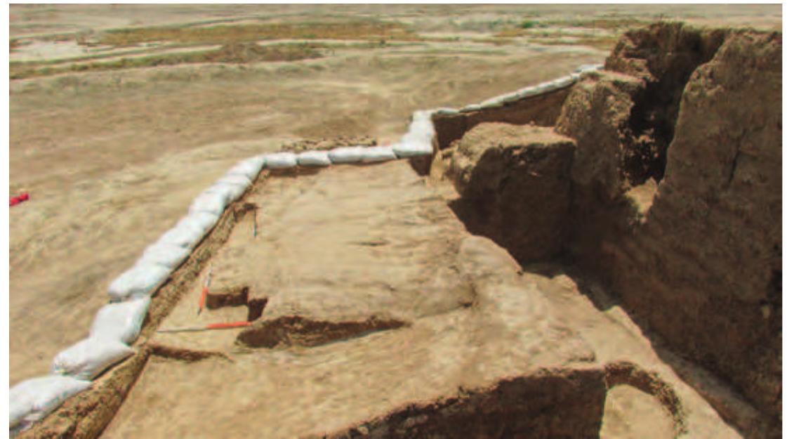 Fig. 60. The area east of the southern part of Room | looking south. Note the buttress next to the measuring rods.  ae See ee a a ee ee ee a Se ee: eR a: See on pee  South of Room 1 there appears to be a part of a buttress and recess belonging to the external wall of the temple (Fig. 63). The width of the outer wall (including the buttress) at these points was about 2.9 m. Assum. ing that the outer wall was of uniform width on the west, north, and eas sides and the plan exhibited a considerable degree of symmetry, it is pos: sible to reconstruct the outline of the external walls on the west, north, anc  east sides, and the outline of the south-west and south-east corners of the building (Fig. 64). 