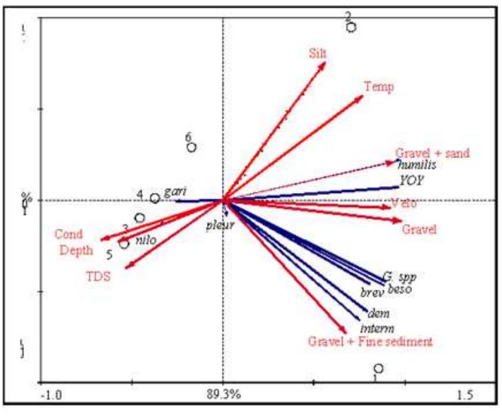 Fat Fish Rda Ordination diagram of redundancy analysis (rda) of the firs: