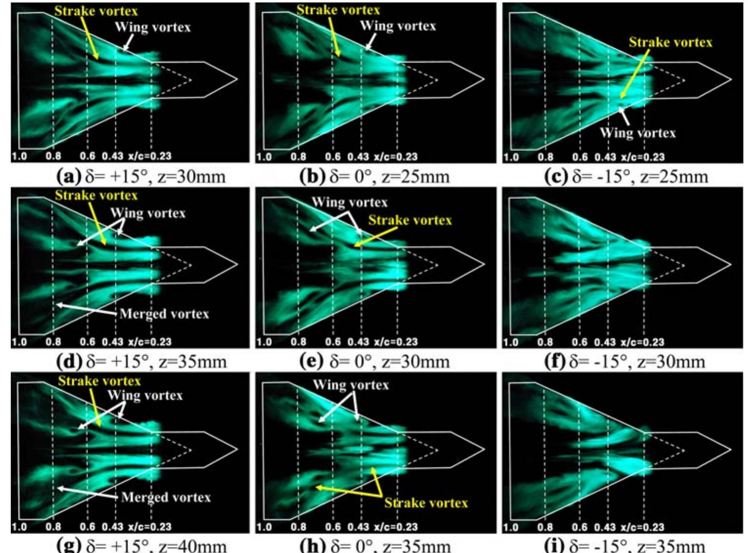 Strake Vortex (PDF) Effect of apex strake incidence-angle on the vortex development ...