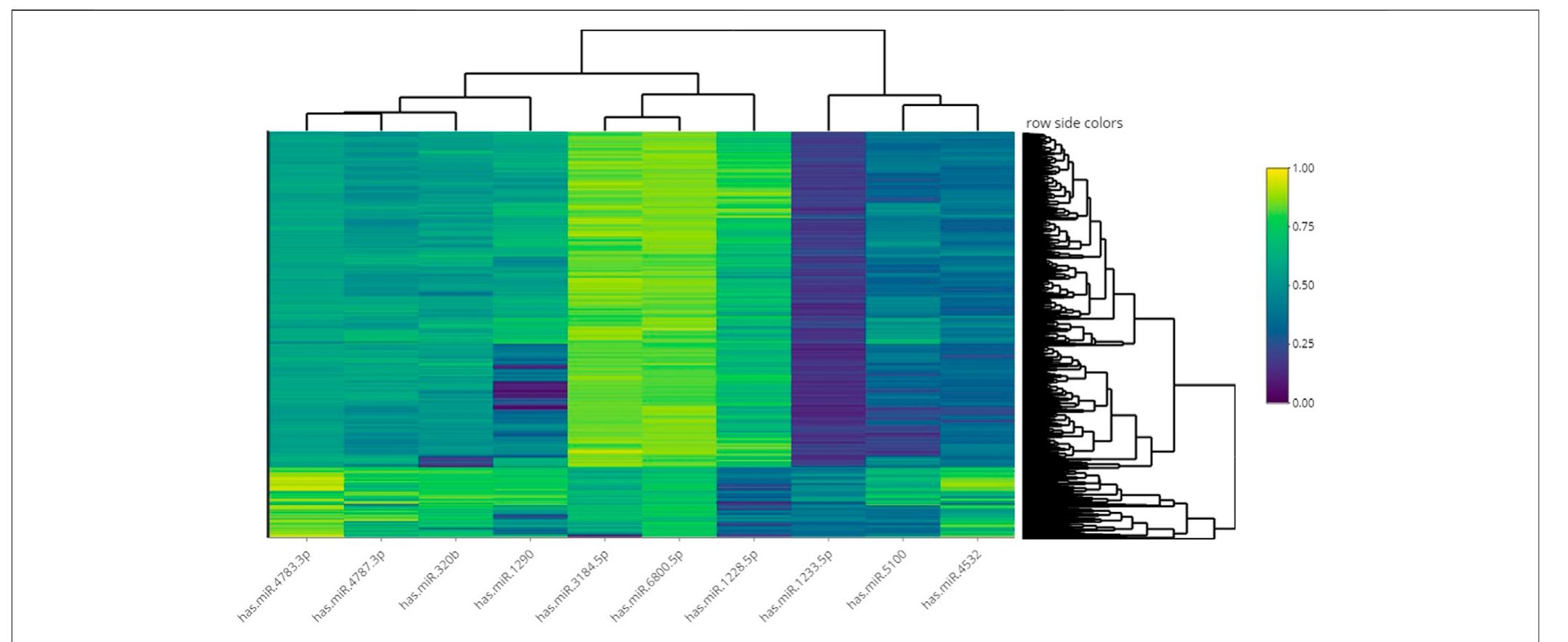 | heatmap of hierarchical clustering analysis using the 10
