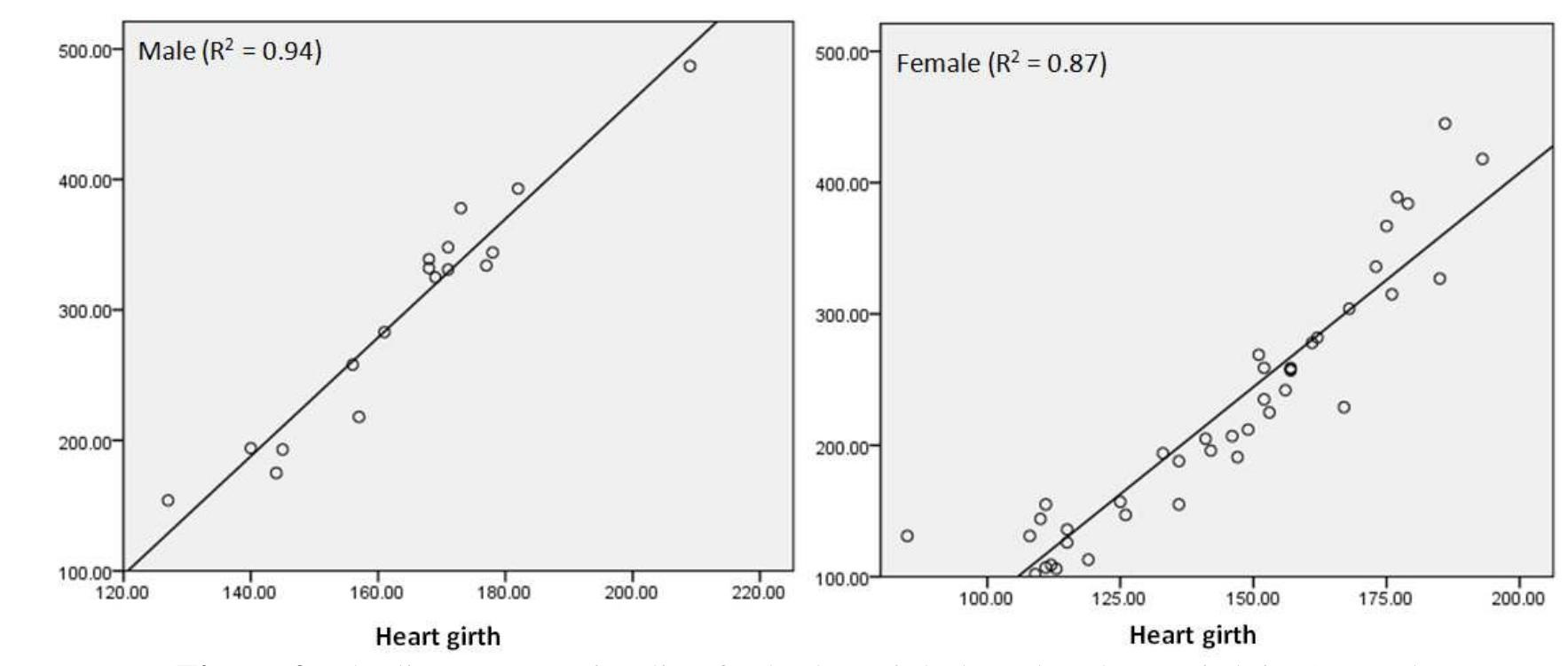 (PDF) The Assesment of Body Weight of Sumba Ongole Cattle (Bos indicus ...