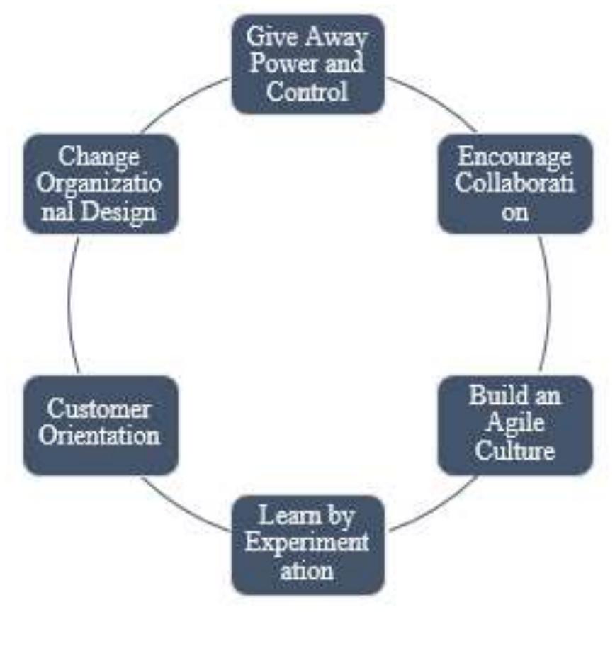 The steps to build an agile organization these six steps are