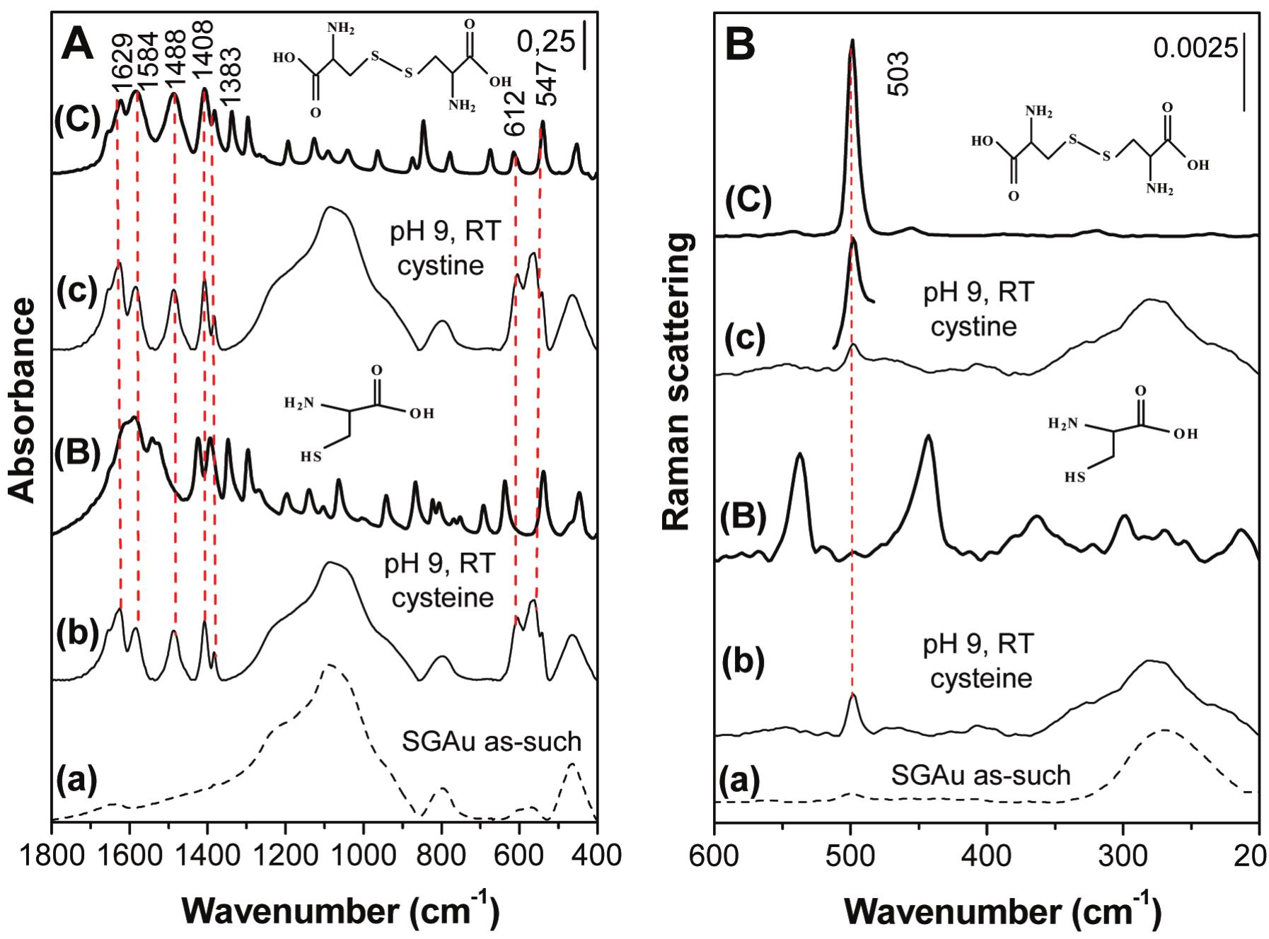 Absorbance ftir spectra, in the broad analytical 1800—400