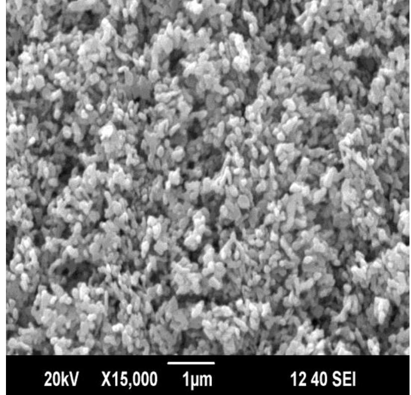 (PDF) Structural and Optical Absorption Analysis of CuO Nanoparticles