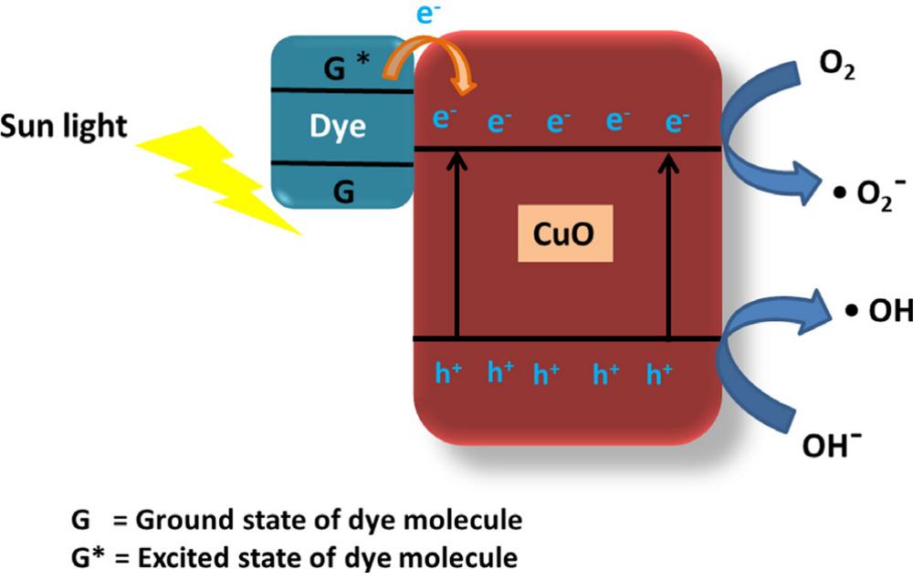Proposed mechanism of photocatalytic degradation of organic