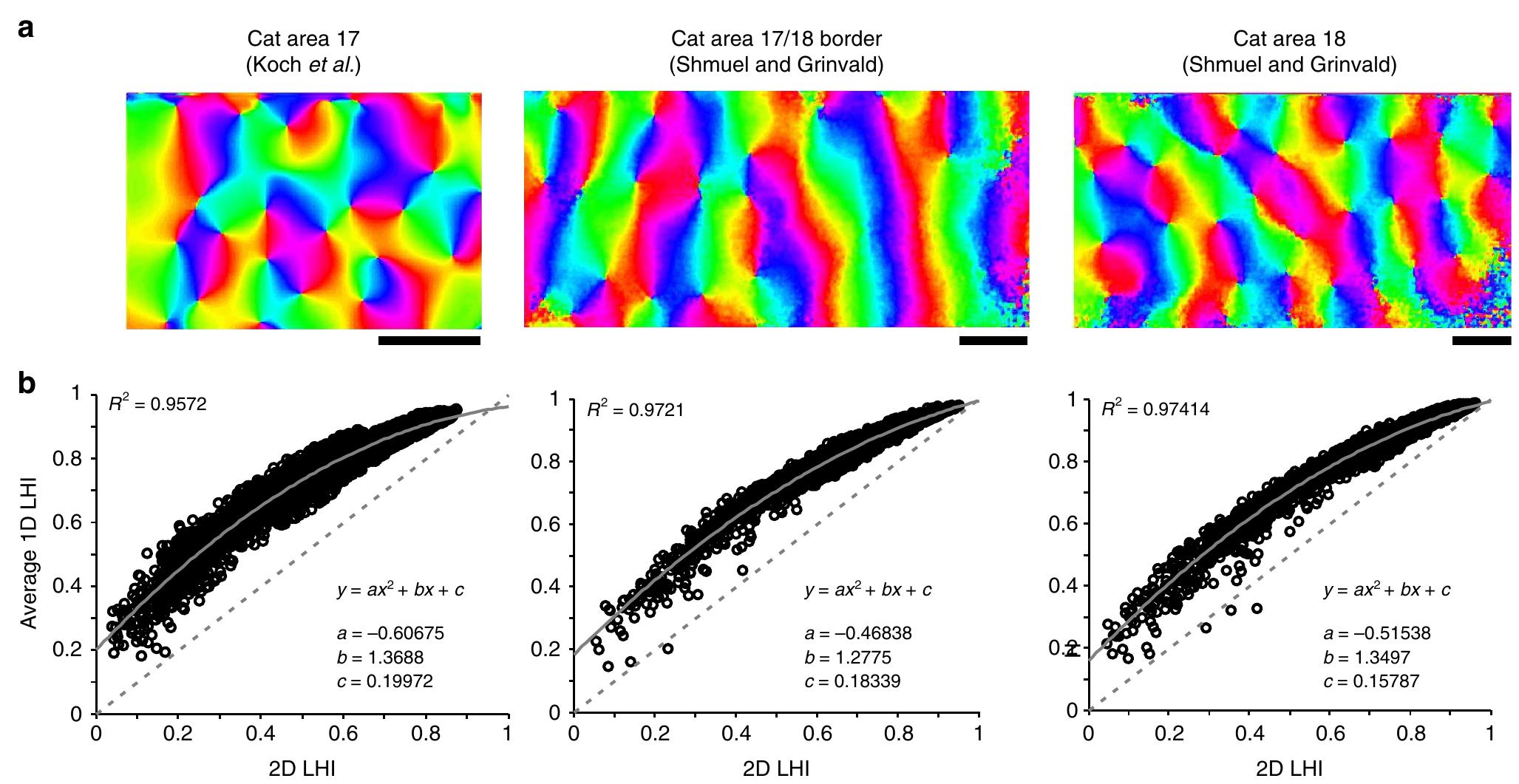 (PDF) Functional implications of orientation maps in visual cortex