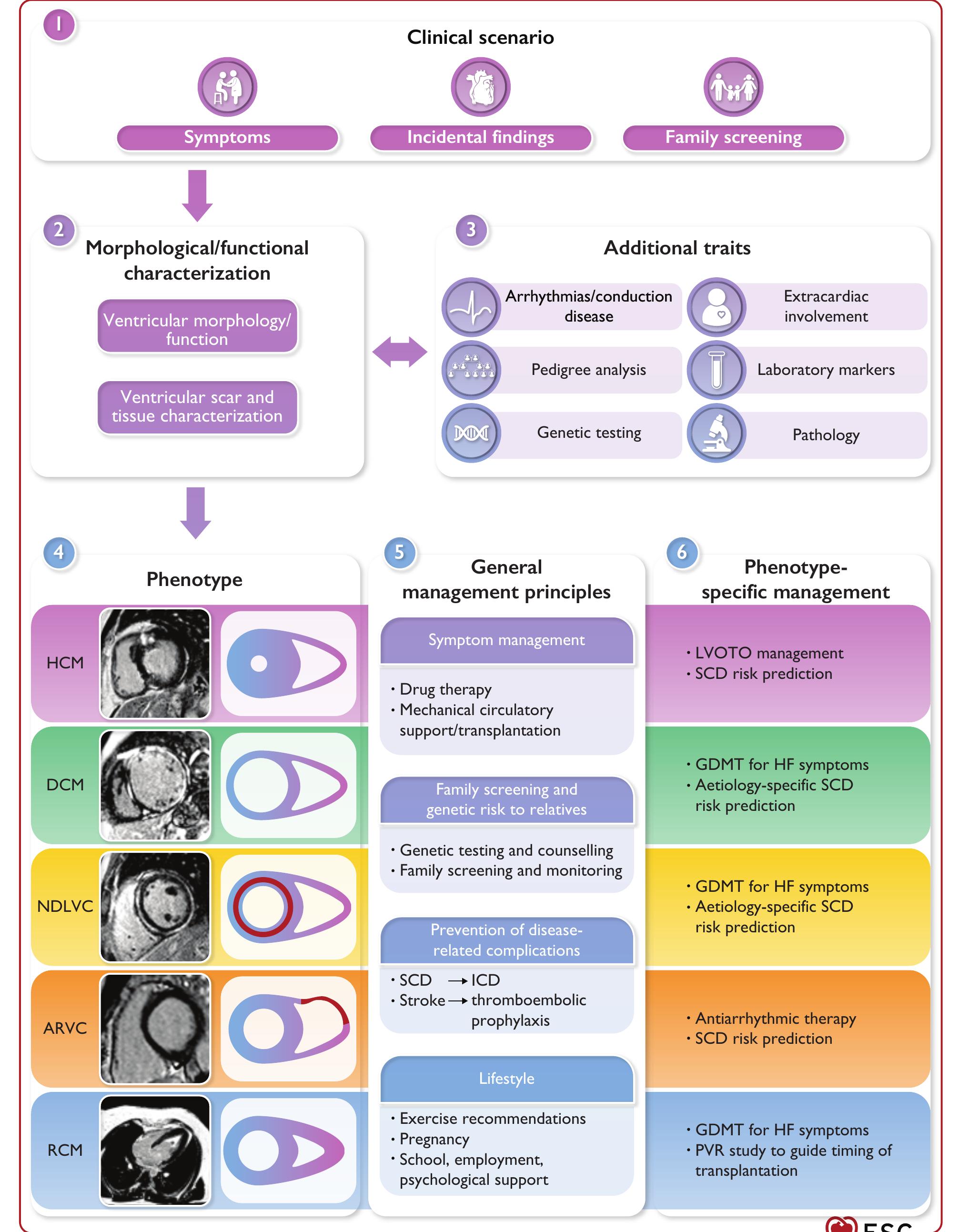 Figure 3 - 2023 ESC Guidelines for the management of