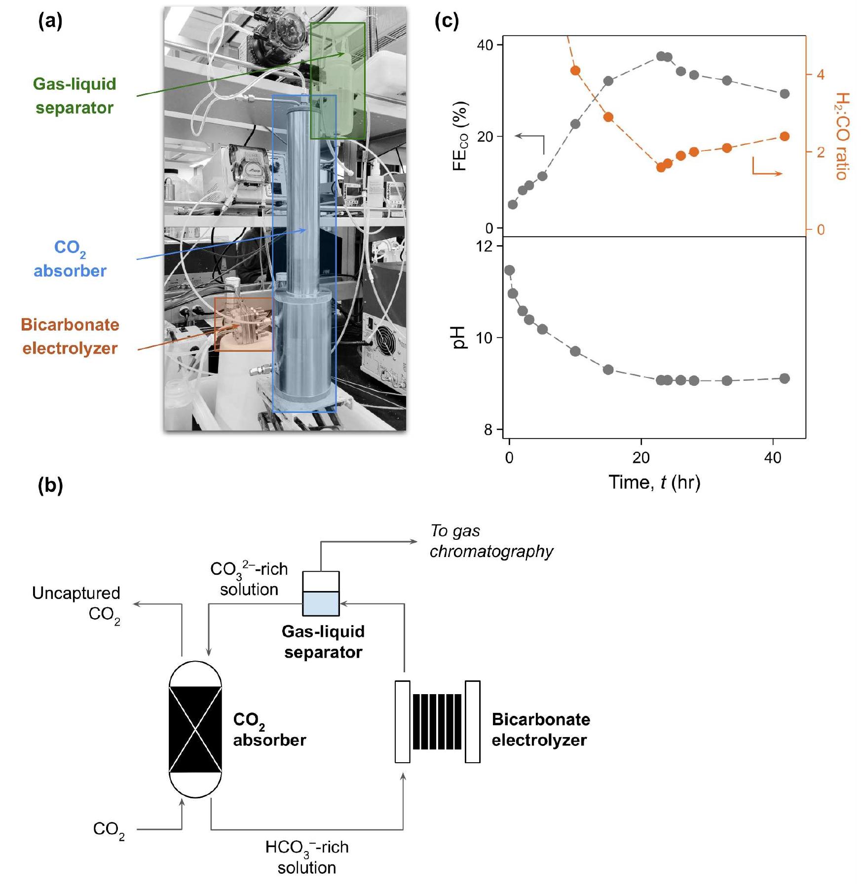 (PDF) Electrochemical capture and conversion of CO2 into syngas
