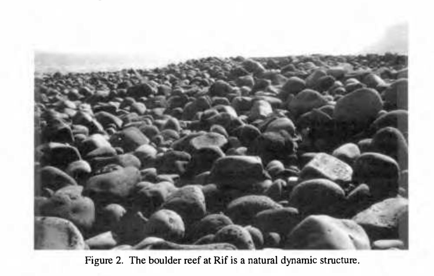 Basalt Rocks Berm (PDF) Berm Breakwaters, Fifteen Years Experience