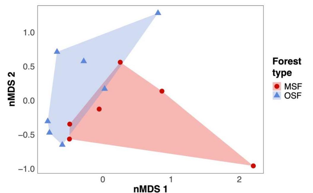 (PDF) The importance of old secondary forests for understory birds in ...