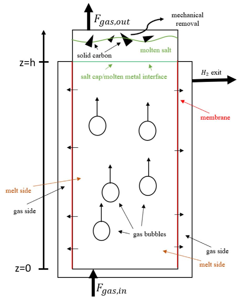 (PDF) Membrane bubble column reactor model for the production of ...