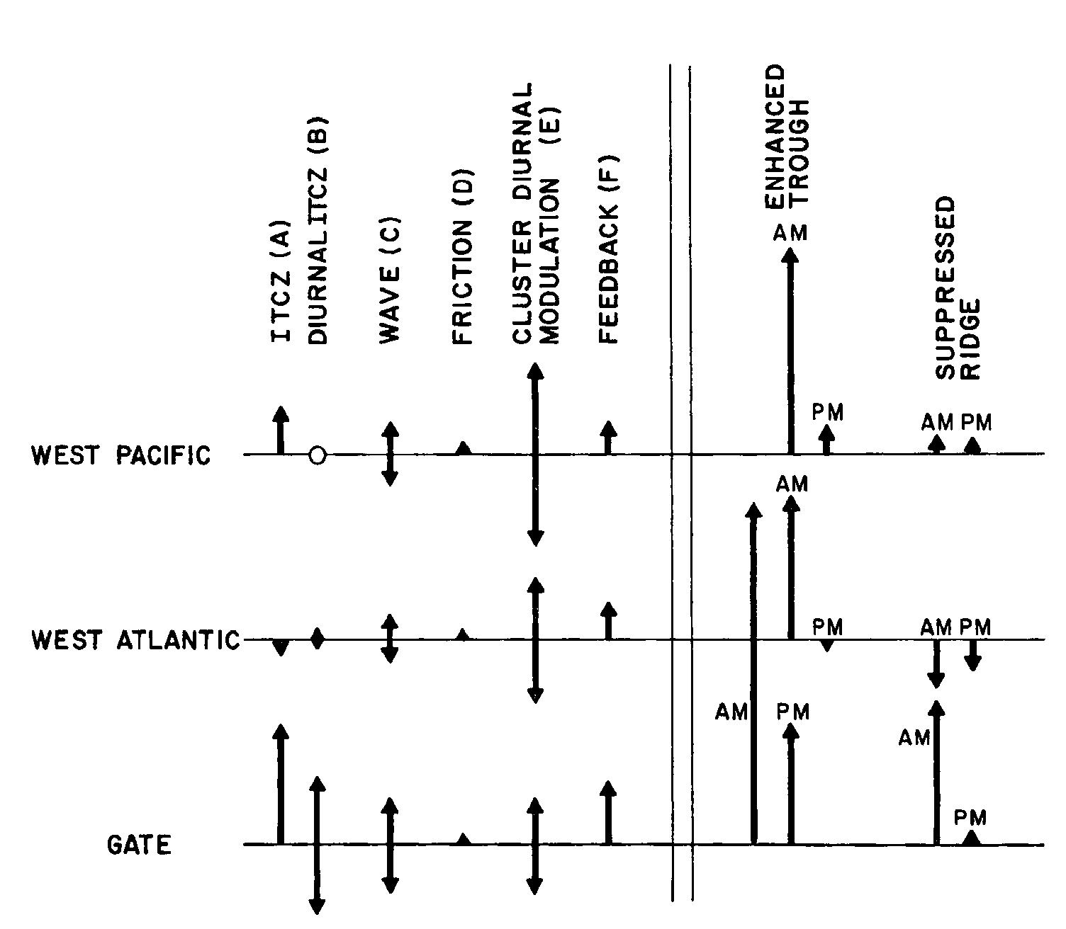 Schematic representation of the relative magnitudes of the