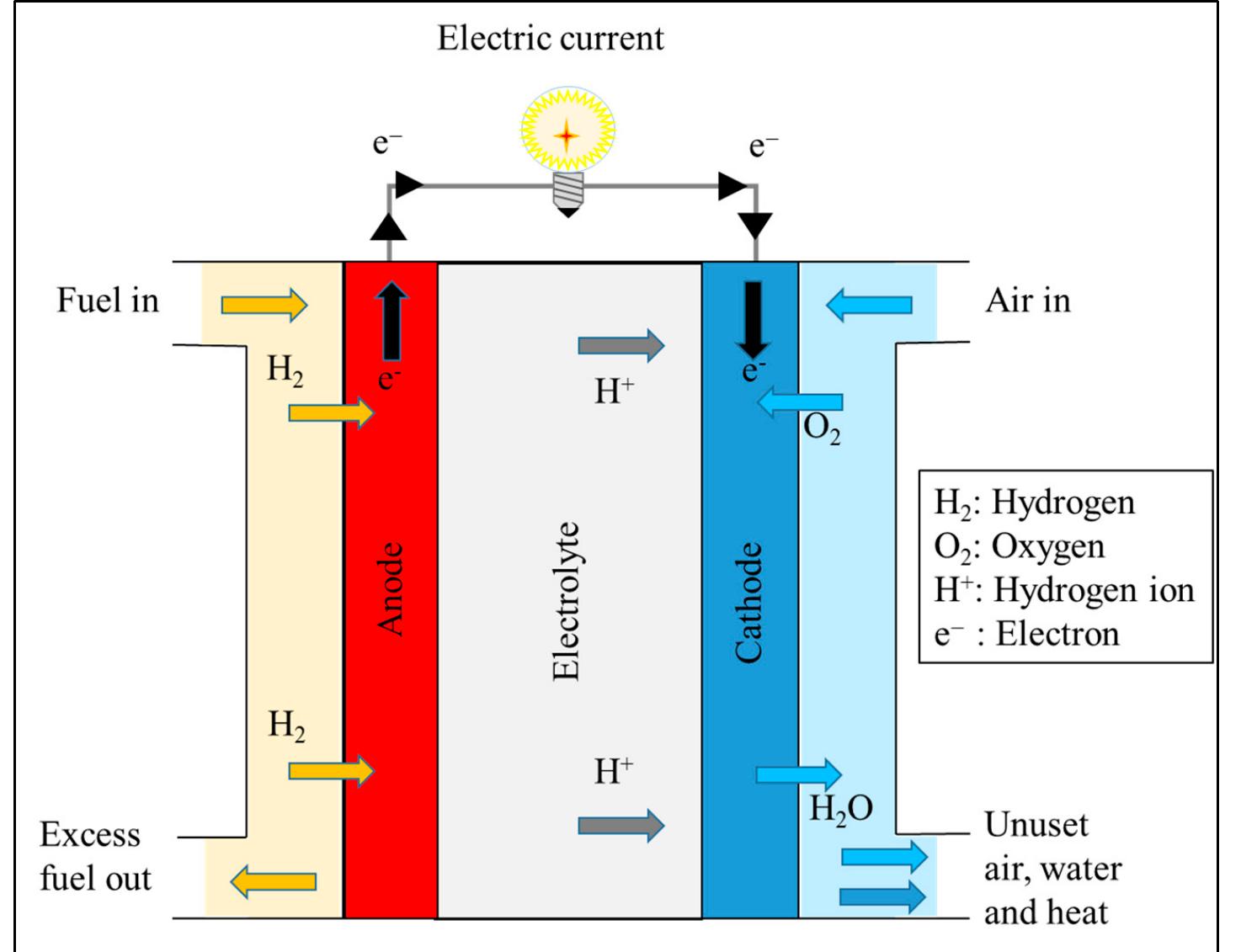 Basic components of hydrogen-driven fuel cell. the energy