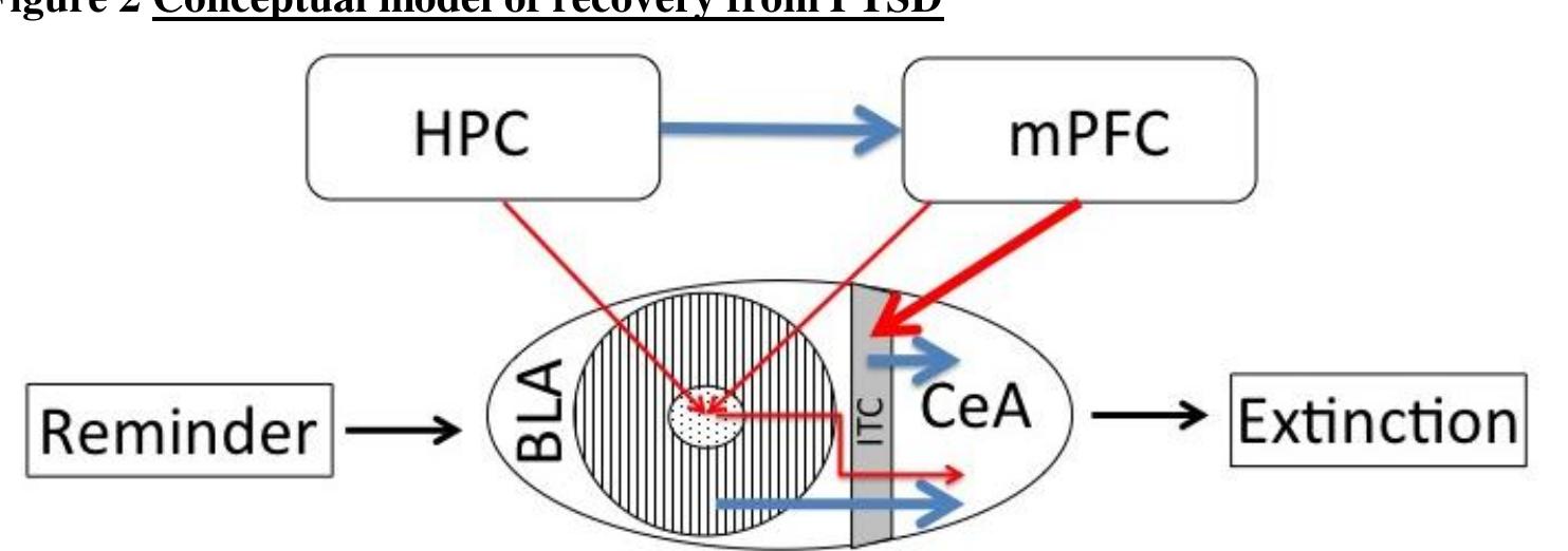 Hpc Pattern (PDF) Treatment-refractory posttraumatic stress disorder (TRPTSD): a ...