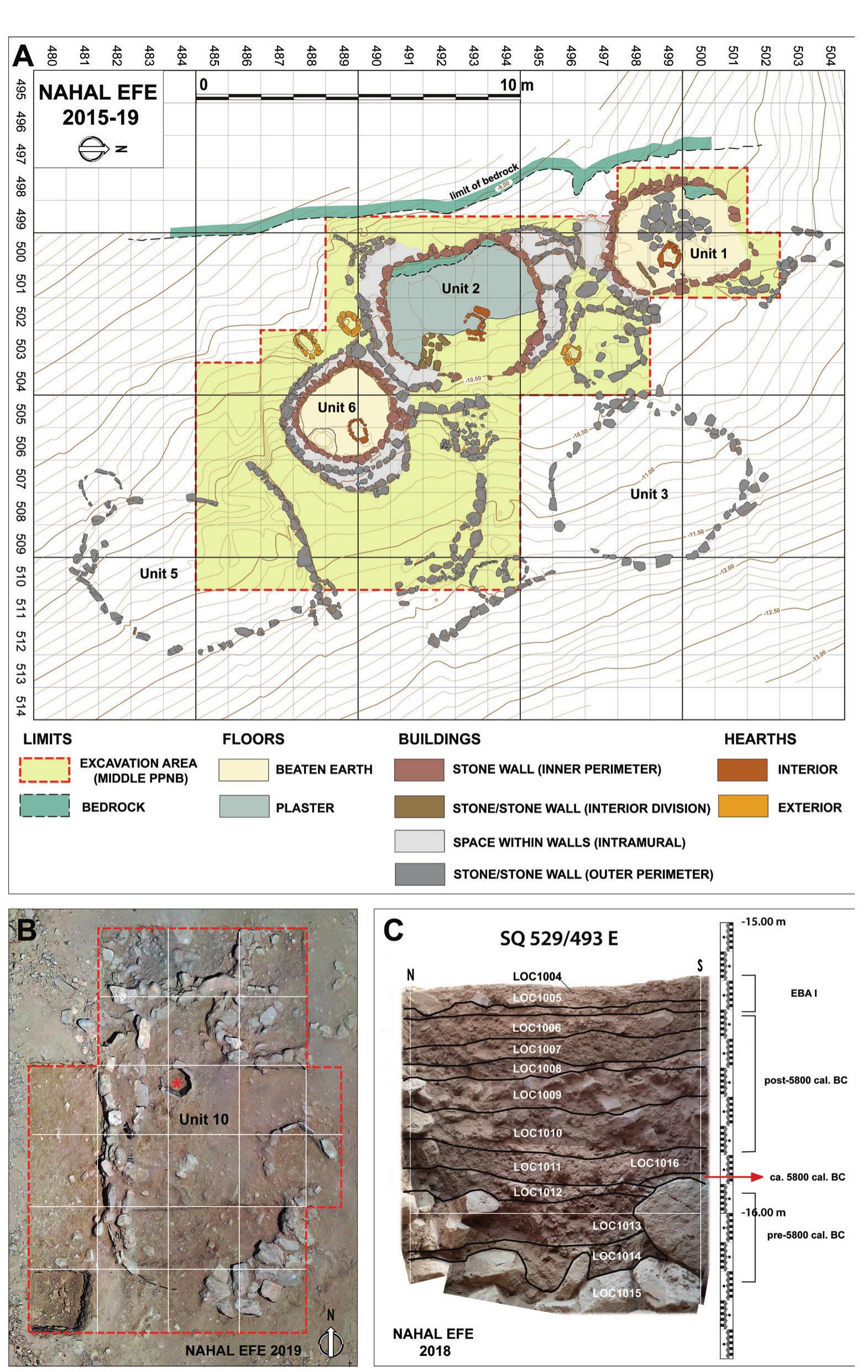 Hunting at the Fringe of the Desert: Animal Exploitation at Nahal Efe (northern Negev, Israel) during the Pre-Pottery Neolithic B  Fig. 3 — A. Plan of the main excavation area (Area A) in Sector I (2019); B. Unit 10 (Area B) with the location (* of the raptors’ pit (2018, locus 10016); C. Test pit downslope (square 529/493; 2016-2018; planimetry and photos Nahal Efe Project). 