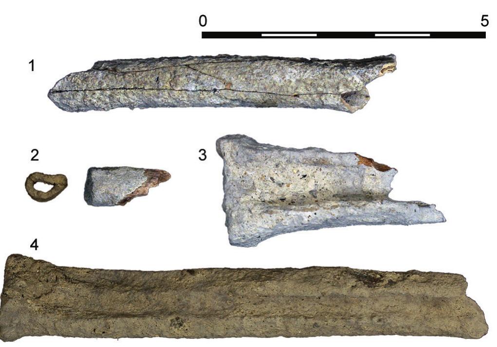 The percentage of fractured elements, the type of fracture and its circumference, together with the small difference in length of the bones of medium-sized mammals (goat and gazelle) compared to those of small mammals (hare and fox; table 7), suggest intense butchering of the carcasses of medi- um-sized animals to maximize their utilization, even extracting the marrow for consumption. On the contrary, small-sized species would have been butchered less inten- sively, either because of their lower marrow content or because  their exploitation (not necessarily for food) does not require as much handling.   Fig. 6 — Examples of fractures in long bones. I. Lepus capensis (radius); 2. Vulpes vulpes (radius); 3. Gazella sp. (tibia); 4. Capra sp. (metacarpus). White colour on I to 3 is from calcareous concretions, not thermoalterations. 