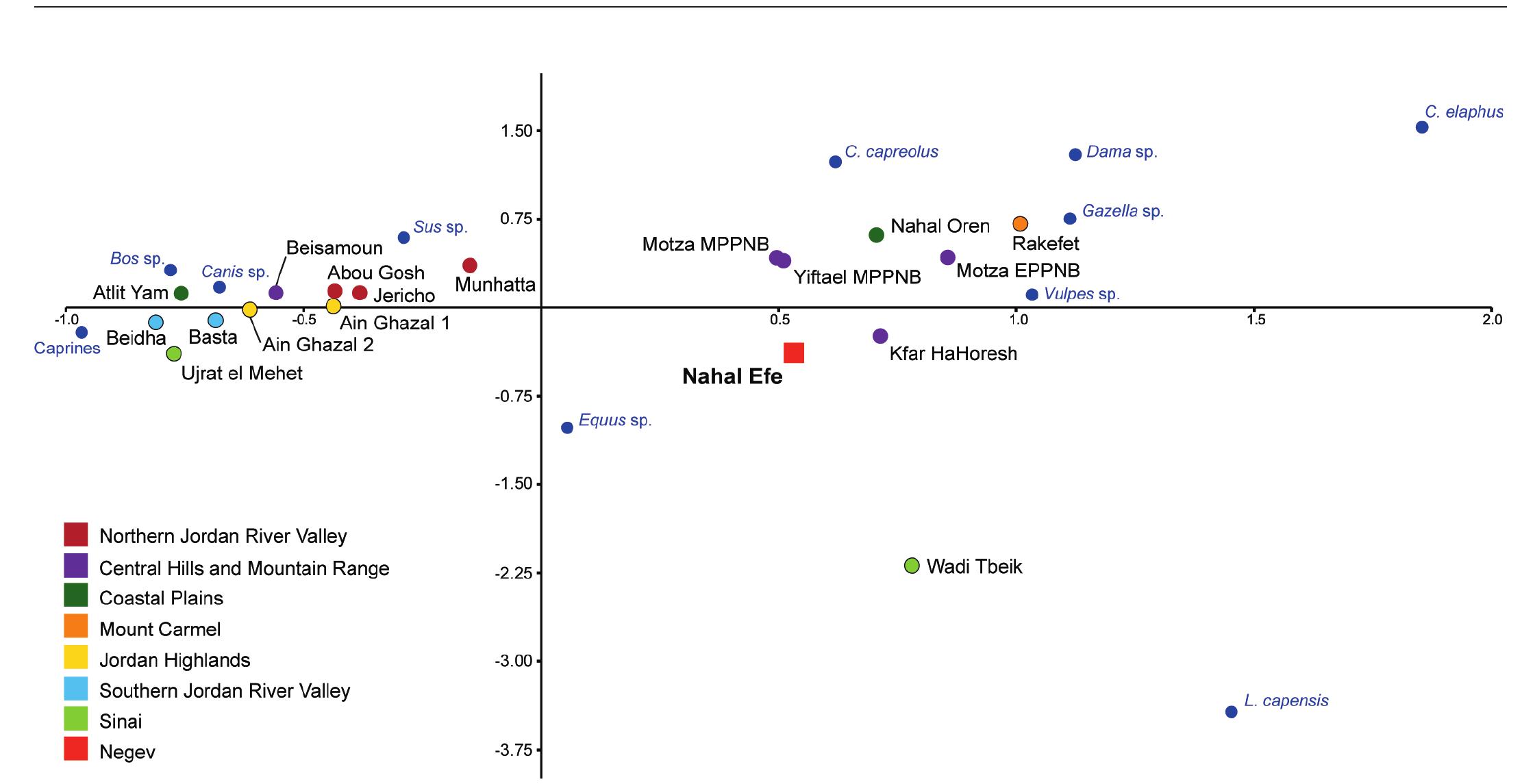R. ALCANTARA, A. SIERRA, L. GOURICHON, M. SANA, J. ALEJANDRE, L. TEIRA, J. VARDI and F. BORRELL  Fig. 8 — Correspondence analysis of the % of NISP of the main mammal taxa from Nahal Efe (Middle PPNB) compared with data from various sites in the Southern Levant dated to the PPNB period. Published data were adapted for the purpose of this analysis. Sheep, goats, and caprines are grouped, and only mammals are considered. PPNB: Munhatta, Beisamoun, Fazael VI, Abu Gosh, Motza (Early and Middle), Kfar HaHoresh, Nahal Oren, Atlit Yam, Rakefet, ‘Ain Ghazal 1, ‘Ain Ghazal 2, Beidha, Basta, Ujrat el Mehet, Wadi Tbeik, Nahal Efe. Data from Moiza, el-Wad Terrace and Upper Besor 6 were collected from their original publications (Sapir-Hen et al. 2009, Yeshurun et al. 2014 and Horwitz and Goring-Morris 2000). Rosh Horesha data were sourced from Horwitz and Goring-Morris (2000), and the remaining sites were originally collected in Martin 1994 (tables 2.2, 2.3, and 2.4) from their original sources (see appendix to this figure for further details). 