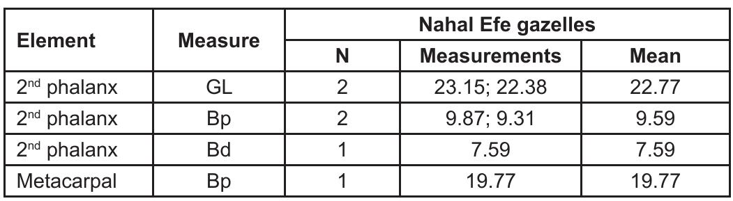 Table 3 — Gazelle bone measurements for Nahal Efe. All measure- ments follow Driesch (1976). 