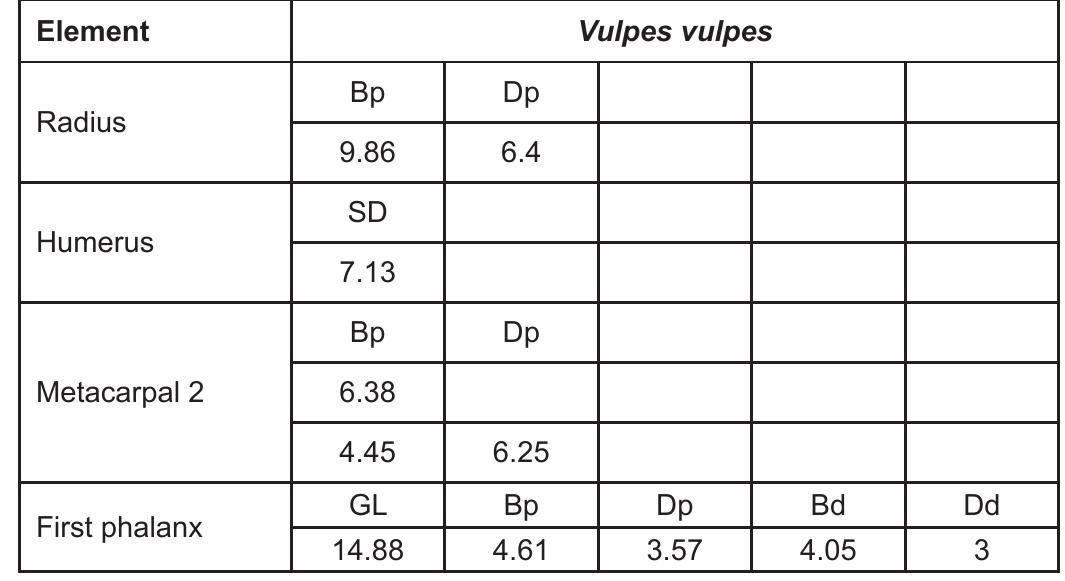 Table 4 — Available bone measurements of Vulpes vulpes. All mea- surements follow von den Driesch (1976). 
