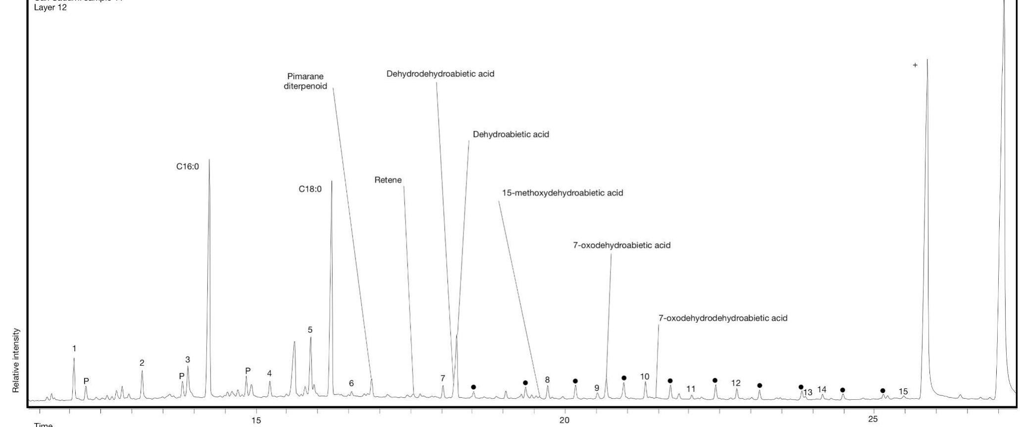 Fig. 2. Chromatogram of sample CS11 highlighting a range of diterpenoids originating from an aged Pinaceae resin. Numbers 1, 2, 4, 6-12, 14 and 15: saturated free fatty acids. 3 and 5 monounsaturated fatty acids. 13: Cholesterol methylether. @: alkane series (C24-C33) +: tetatriacontane (internal standard 1), *: hexatriacontane (internal standard 2). See identification and mass spectra of numbered peaks in supplementary 4. 