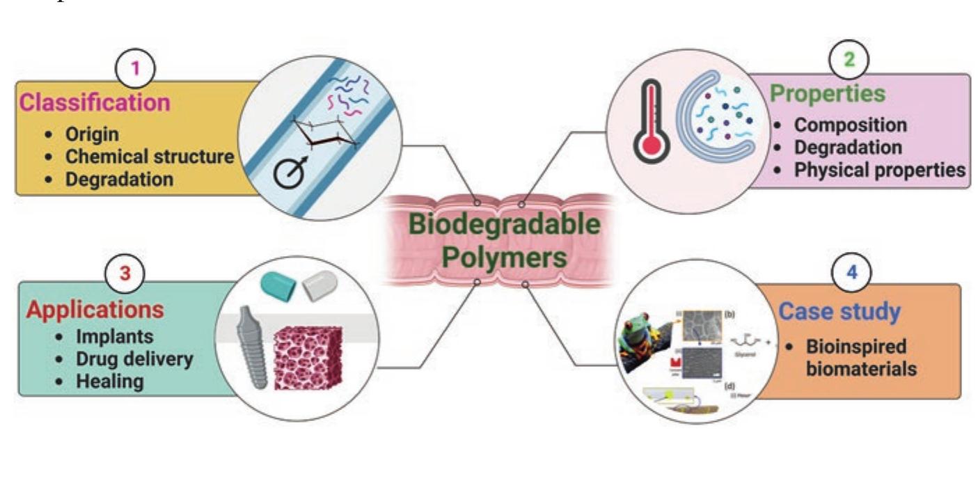 Figure 3 - from Biodegradable Polymers