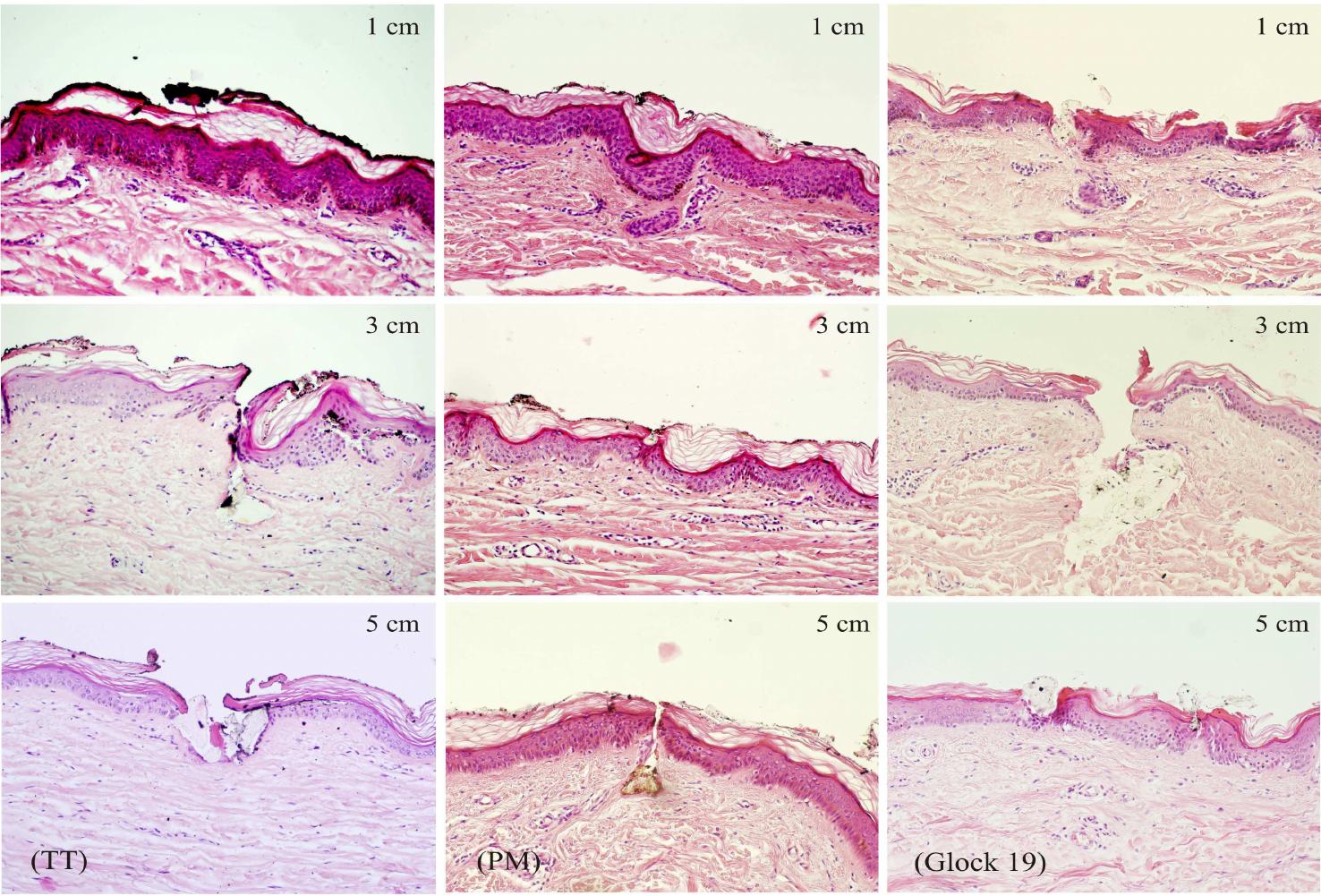 Figure 11. Soot and gunpowder residue particles in shots from the TT, PM and Glock 19 pistols at the distances of 1, 3 and 5 cm. 