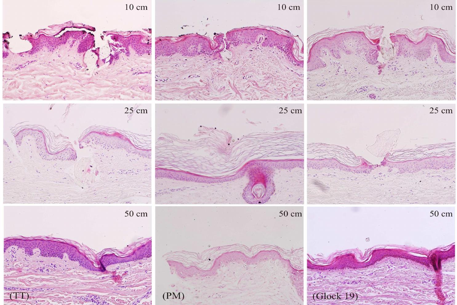 Figure 12. Soot and gunpowder residue particles in shots from the TT, PM and Glock 19 pistols at the distances of 10, 25 (Test 2) and 50 cm. 