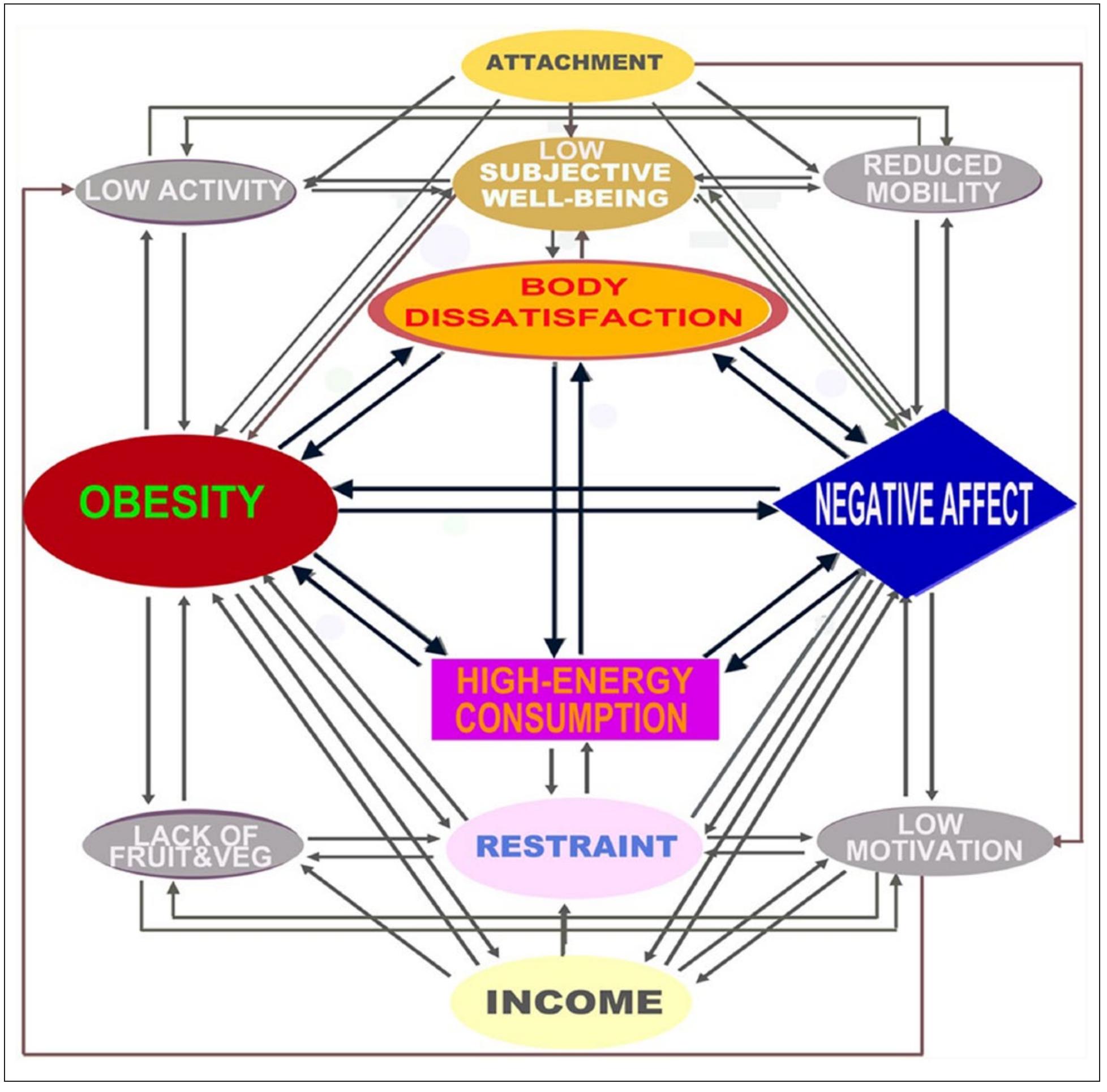 (PDF) Homeostatic theory of obesity