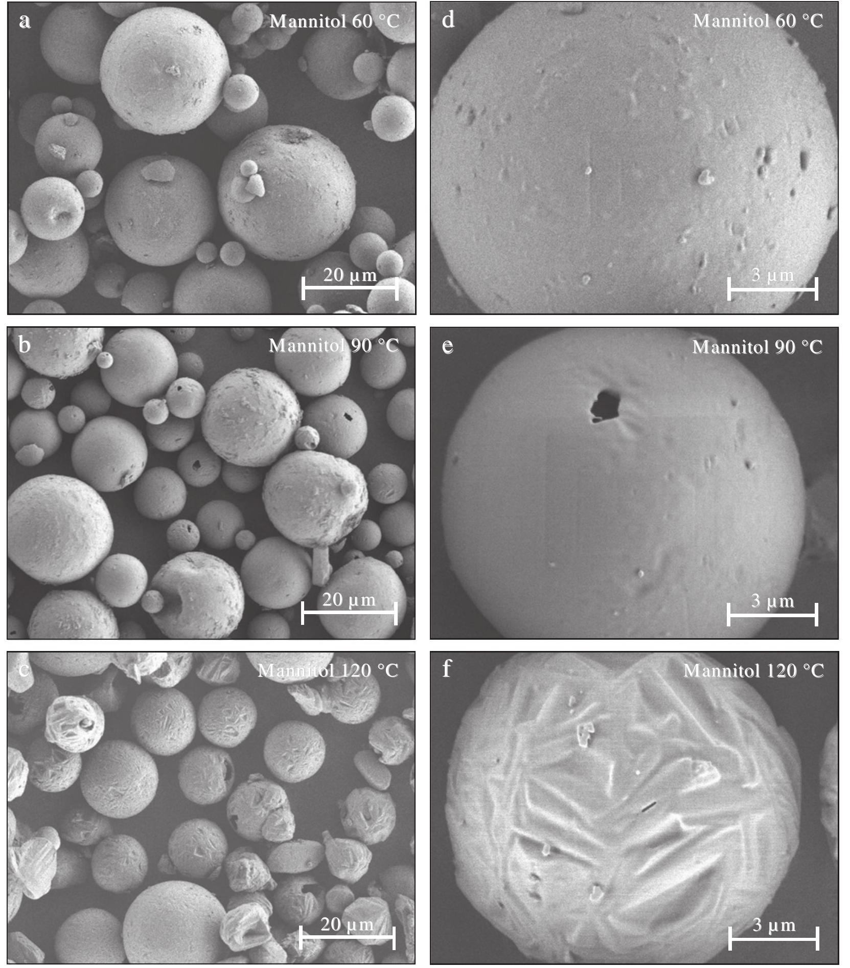 (PDF) The impact of spray drying outlet temperature on the particle ...
