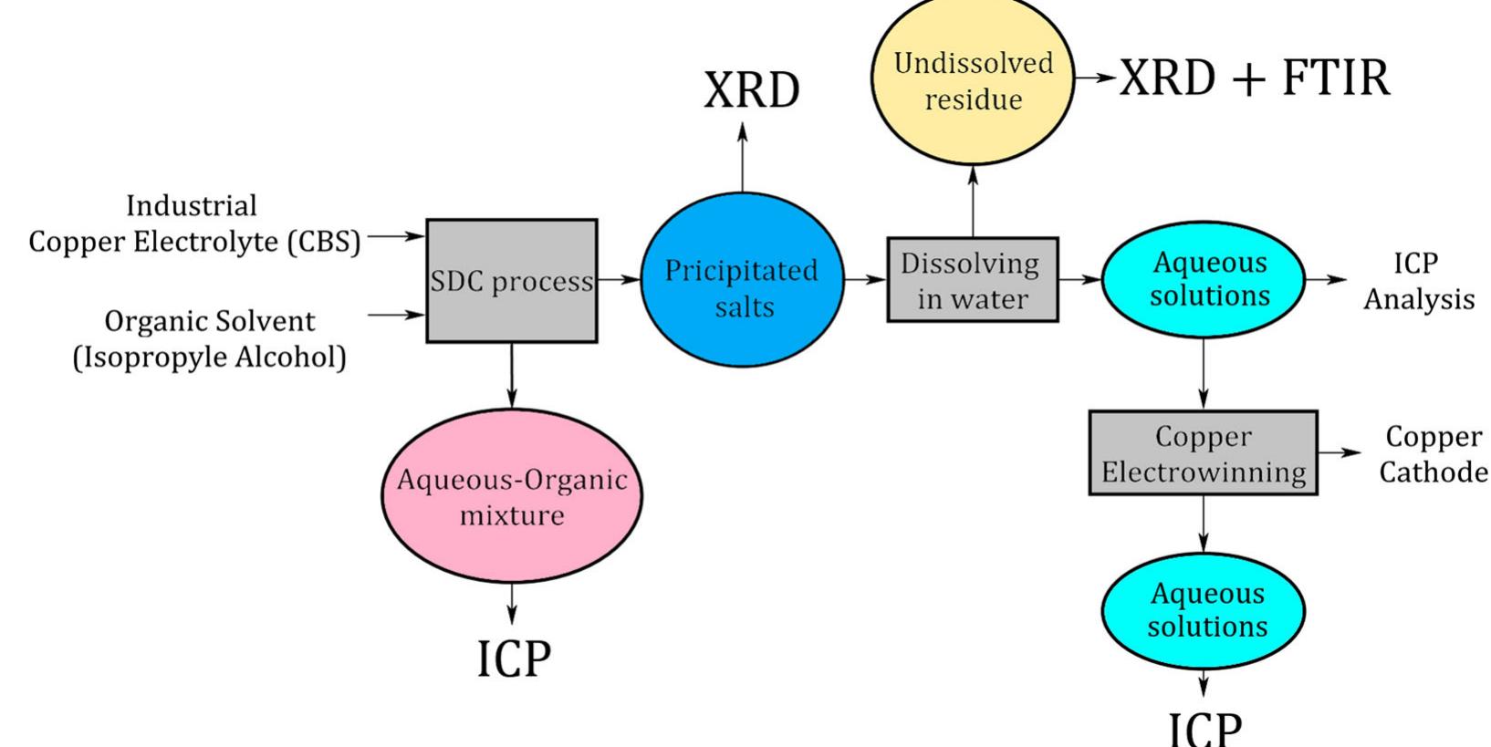 Schematic flow diagram representing the experimental process