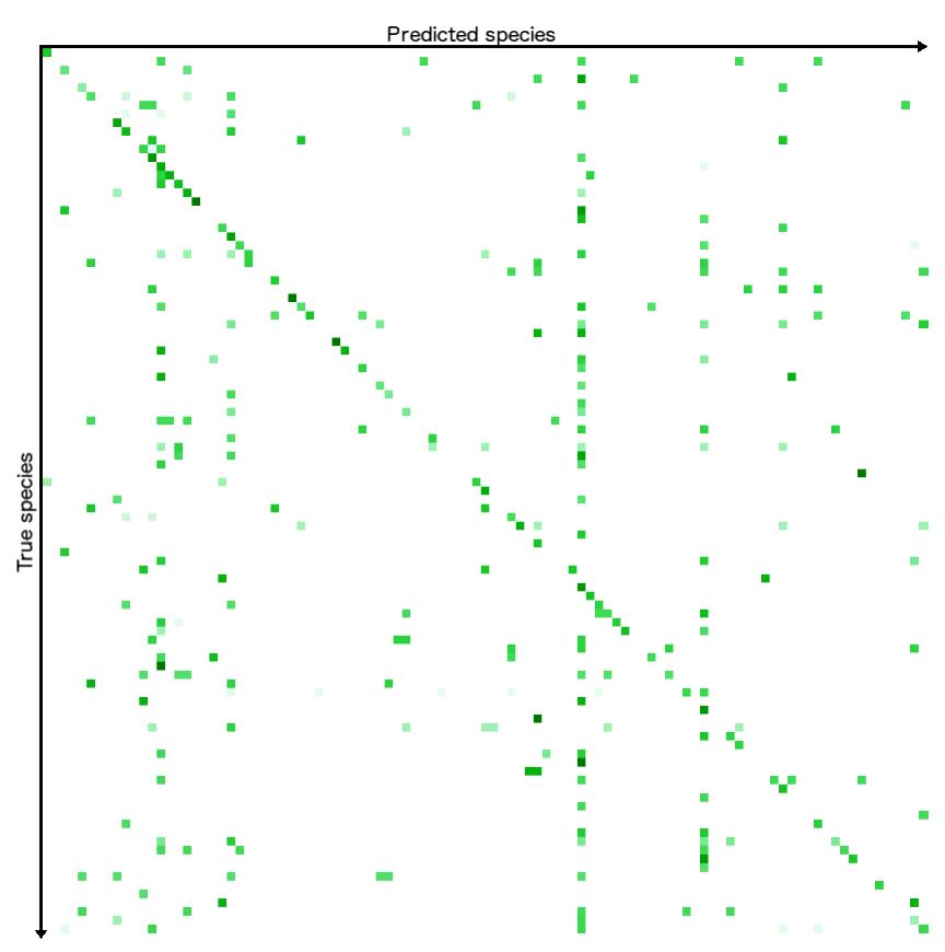(PDF) Bark Recognition to Improve Leaf-based Classification in Didactic ...