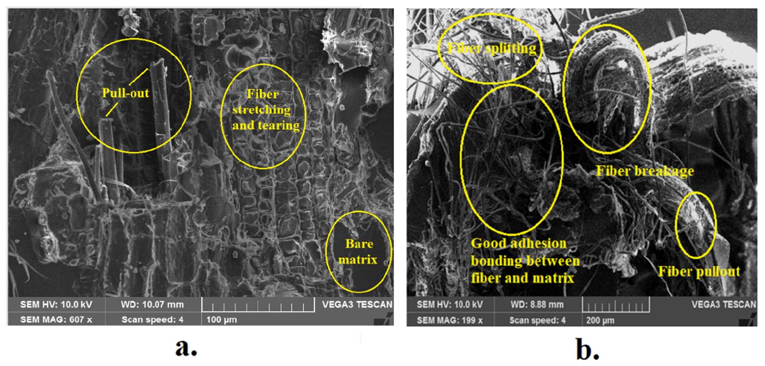 Sem micrographs of tensile-fractured samples with 20-mm-long