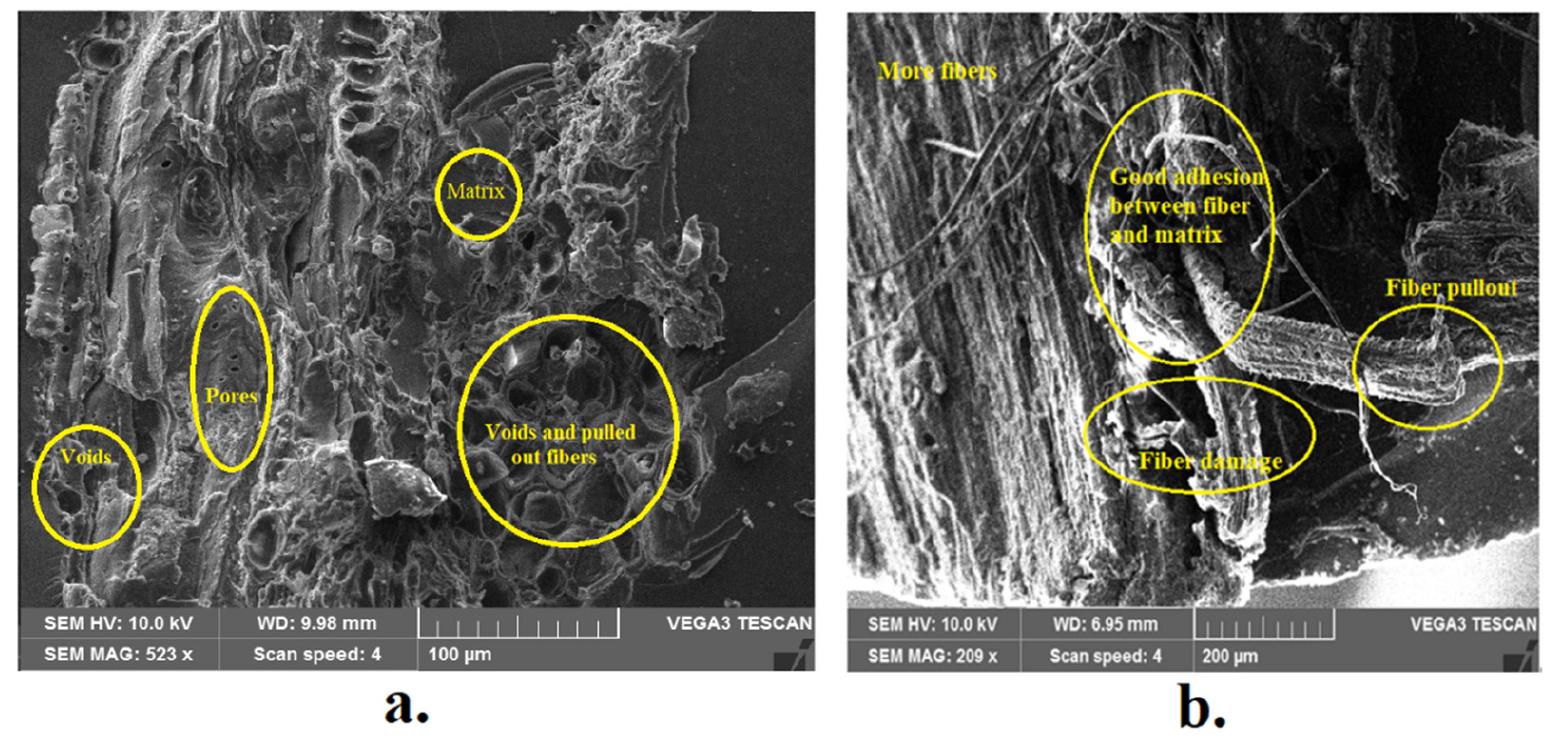 Sem micrographs of tensile-fractured samples with 30-mm-long